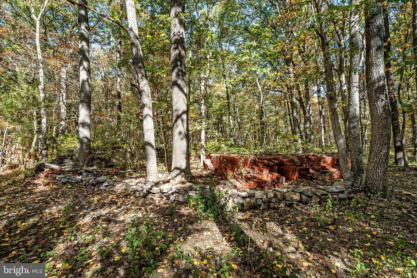 0 HEDRICK LN, WINCHESTER, Virginia 22602, ,Land,For sale,0 HEDRICK LN,VAFV2037912 MLS # VAFV2037912 0 HEDRICK LN, WINCHESTER, Virginia 22602, ,Land,For sale,0 HEDRICK LN,VAFV2037912 MLS # VAFV2037912