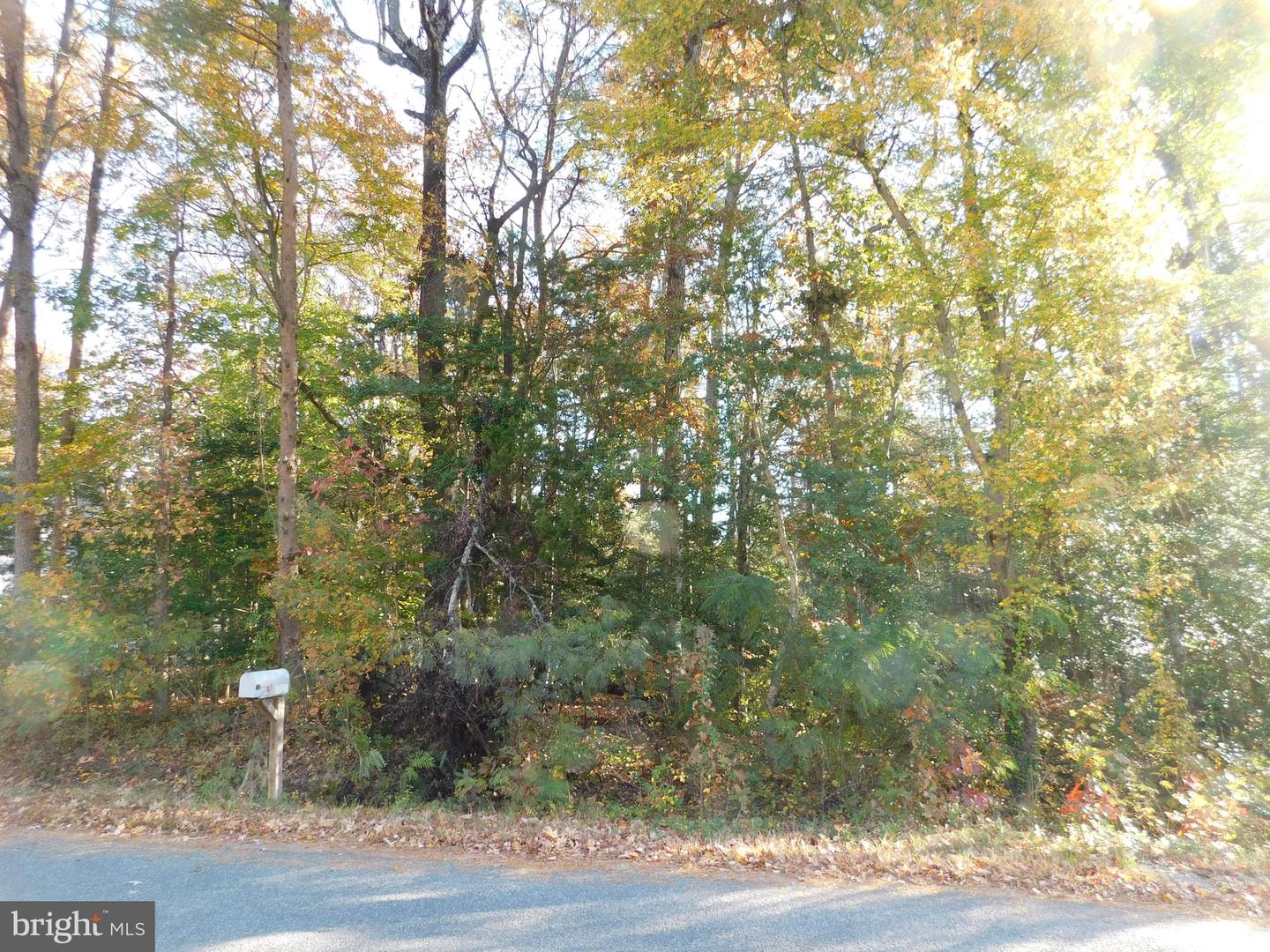 TN 10C 8 1 23 FOREST GROVE RD, COLONIAL BEACH, Virginia 22443, ,Land,For sale,TN 10C 8 1 23 FOREST GROVE RD,VAWE2010074 MLS # VAWE2010074
