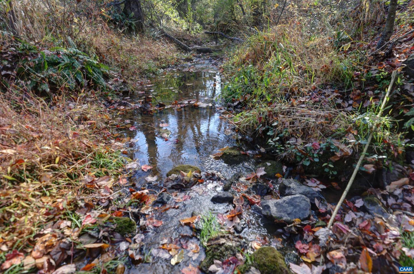 LOT B LINK EVANS RD, EARLYSVILLE, Virginia 22936, ,Land,For sale,LOT B LINK EVANS RD,670828 MLS # 670828 LOT B LINK EVANS RD, EARLYSVILLE, Virginia 22936, ,Land,For sale,LOT B LINK EVANS RD,670828 MLS # 670828