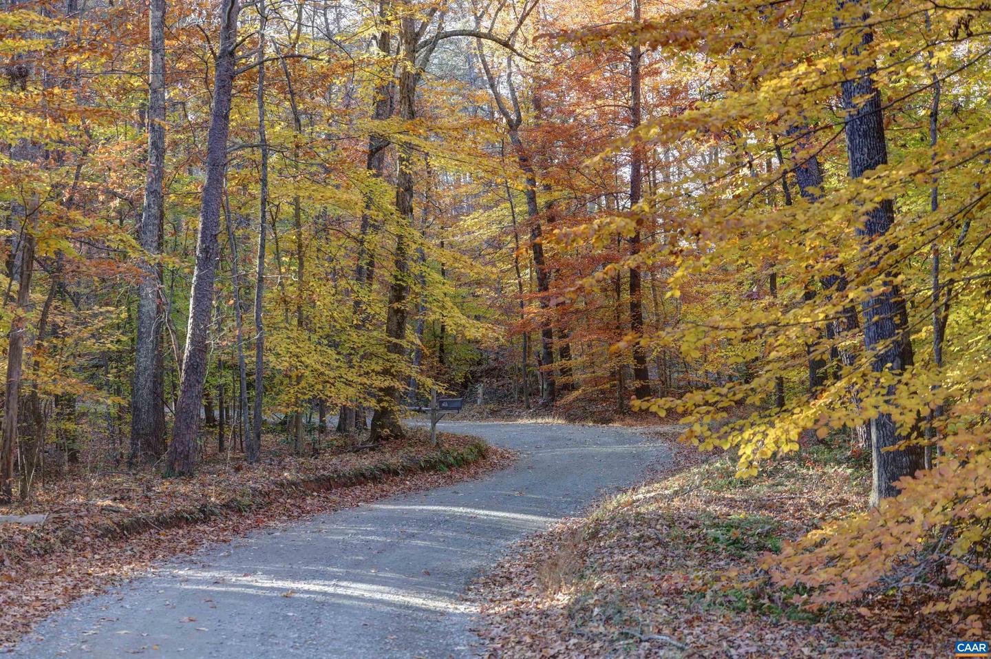 LOT B LINK EVANS RD, EARLYSVILLE, Virginia 22936, ,Land,For sale,LOT B LINK EVANS RD,670828 MLS # 670828 LOT B LINK EVANS RD, EARLYSVILLE, Virginia 22936, ,Land,For sale,LOT B LINK EVANS RD,670828 MLS # 670828