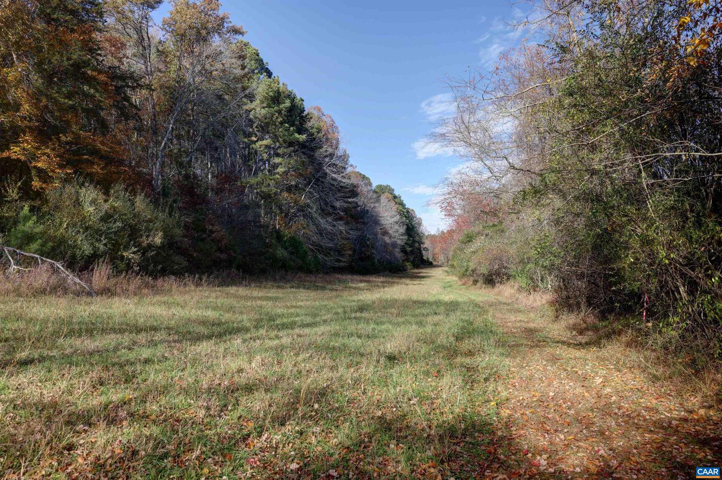 LOT B LINK EVANS RD, EARLYSVILLE, Virginia 22936, ,Land,For sale,LOT B LINK EVANS RD,670828 MLS # 670828 LOT B LINK EVANS RD, EARLYSVILLE, Virginia 22936, ,Land,For sale,LOT B LINK EVANS RD,670828 MLS # 670828