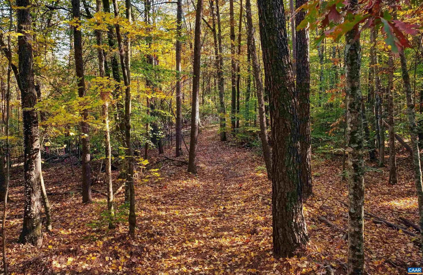 LOT B LINK EVANS RD, EARLYSVILLE, Virginia 22936, ,Land,For sale,LOT B LINK EVANS RD,670828 MLS # 670828 LOT B LINK EVANS RD, EARLYSVILLE, Virginia 22936, ,Land,For sale,LOT B LINK EVANS RD,670828 MLS # 670828