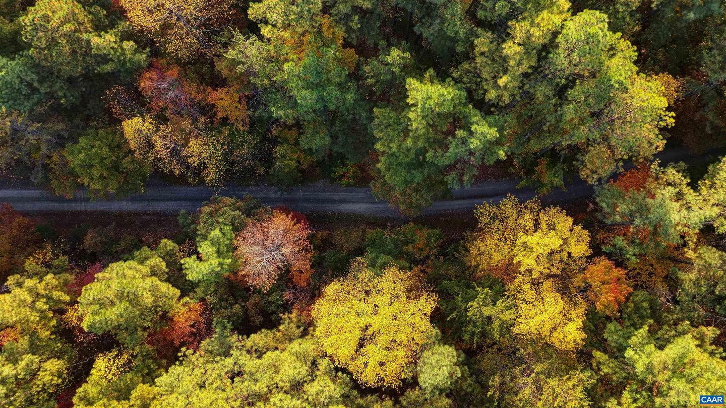 LOT B LINK EVANS RD, EARLYSVILLE, Virginia 22936, ,Land,For sale,LOT B LINK EVANS RD,670828 MLS # 670828 LOT B LINK EVANS RD, EARLYSVILLE, Virginia 22936, ,Land,For sale,LOT B LINK EVANS RD,670828 MLS # 670828