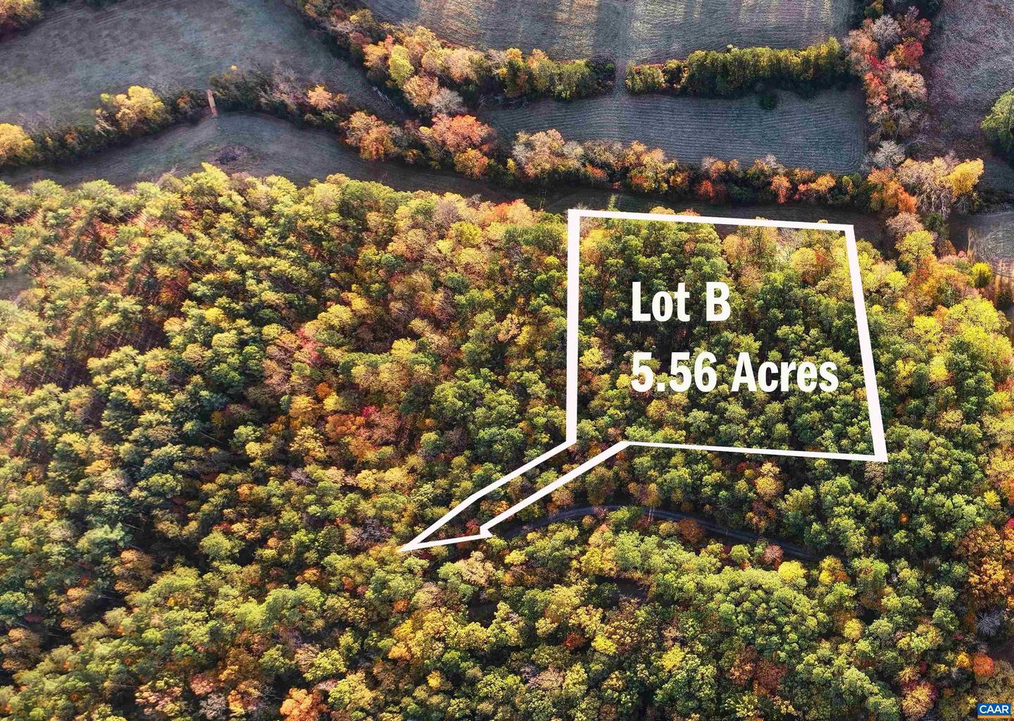 LOT B LINK EVANS RD, EARLYSVILLE, Virginia 22936, ,Land,For sale,LOT B LINK EVANS RD,670828 MLS # 670828 LOT B LINK EVANS RD, EARLYSVILLE, Virginia 22936, ,Land,For sale,LOT B LINK EVANS RD,670828 MLS # 670828