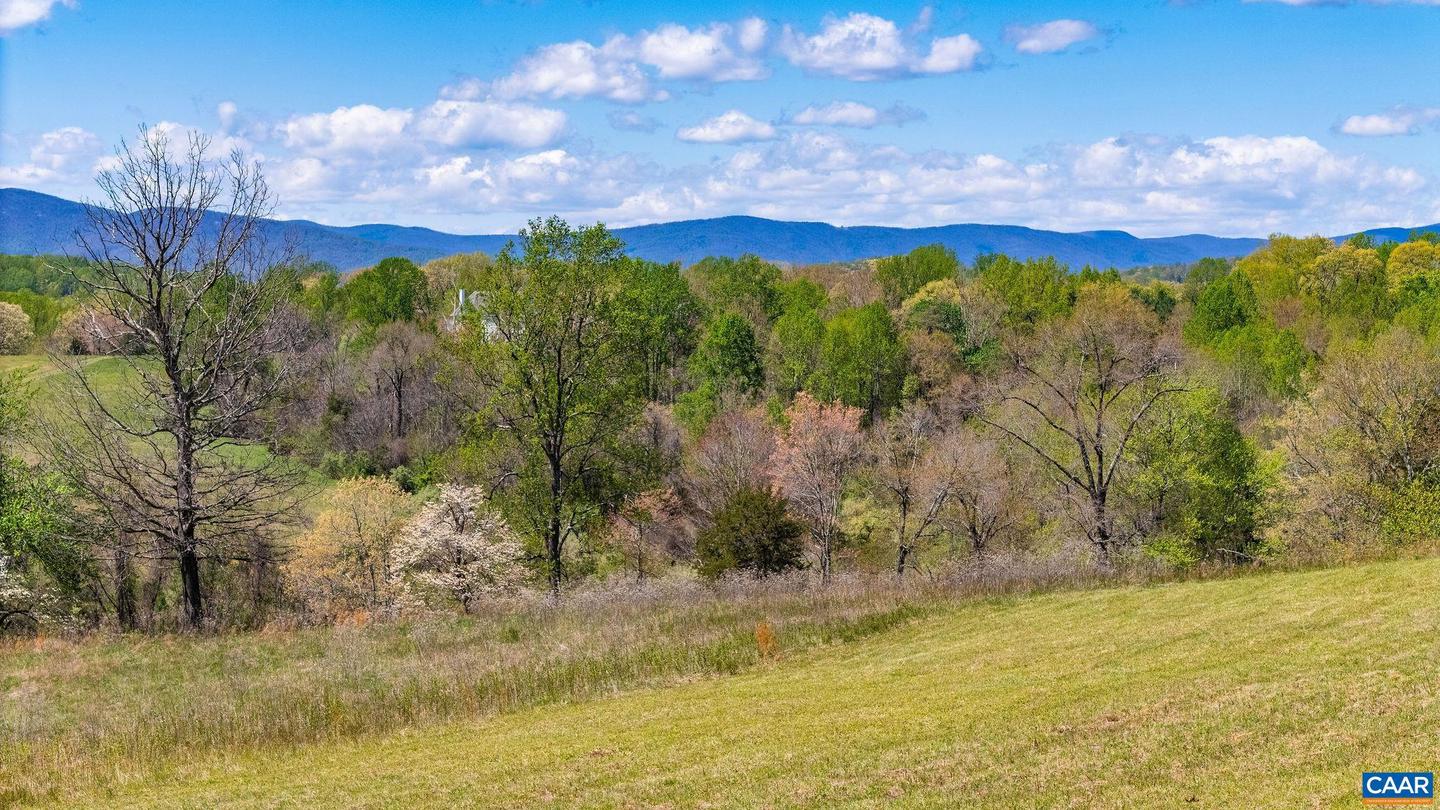 0 BLOOMFIELD RD, CHARLOTTESVILLE, Virginia 22903, ,Land,For sale,0 BLOOMFIELD RD,670832 MLS # 670832 0 BLOOMFIELD RD, CHARLOTTESVILLE, Virginia 22903, ,Land,For sale,0 BLOOMFIELD RD,670832 MLS # 670832