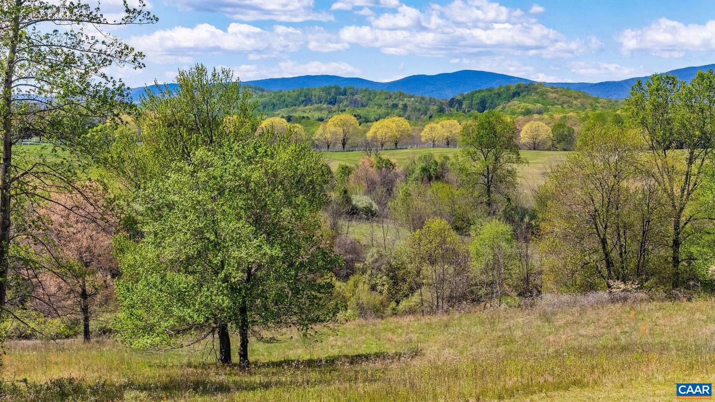 0 BLOOMFIELD RD, CHARLOTTESVILLE, Virginia 22903, ,Land,For sale,0 BLOOMFIELD RD,670832 MLS # 670832 0 BLOOMFIELD RD, CHARLOTTESVILLE, Virginia 22903, ,Land,For sale,0 BLOOMFIELD RD,670832 MLS # 670832