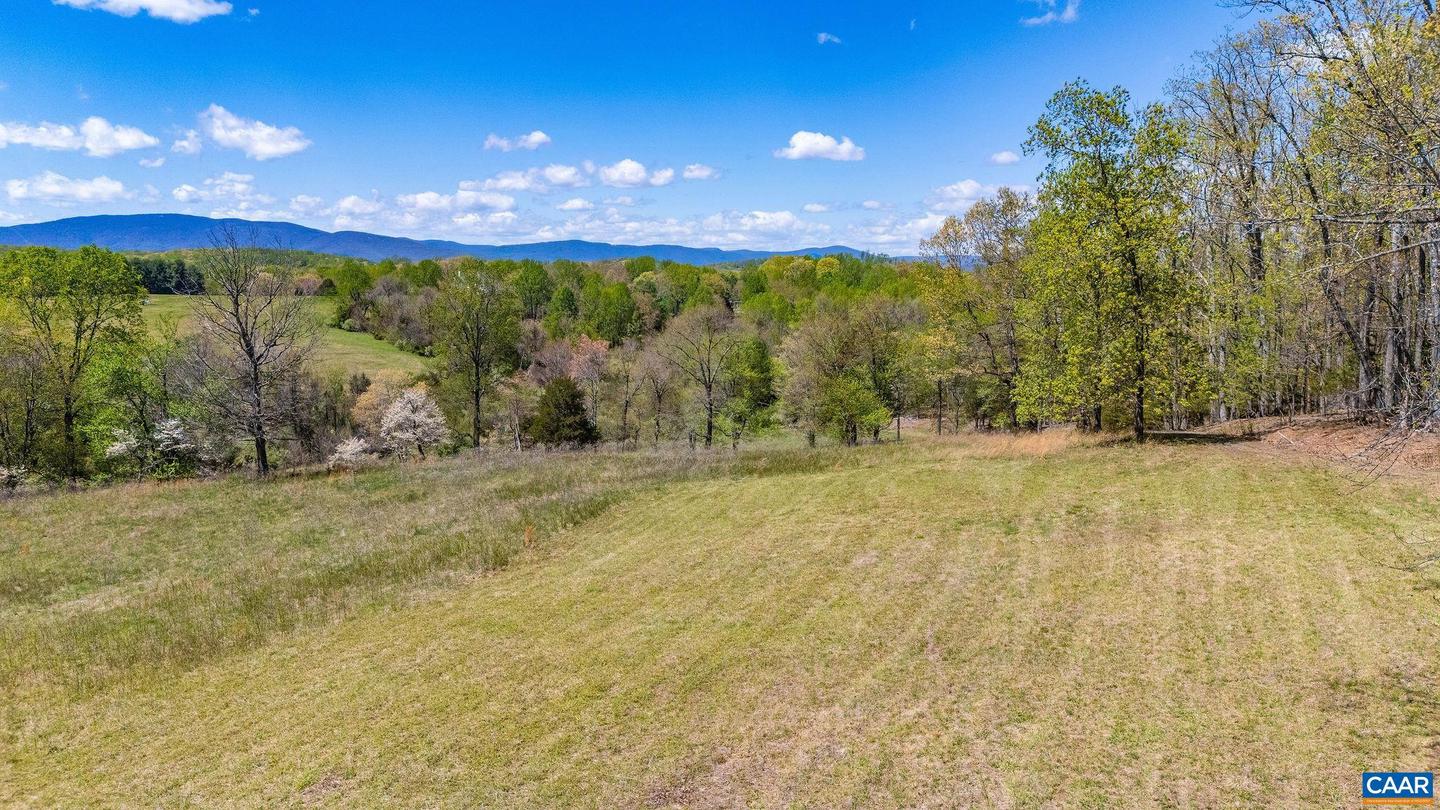 0 BLOOMFIELD RD, CHARLOTTESVILLE, Virginia 22903, ,Land,For sale,0 BLOOMFIELD RD,670832 MLS # 670832 0 BLOOMFIELD RD, CHARLOTTESVILLE, Virginia 22903, ,Land,For sale,0 BLOOMFIELD RD,670832 MLS # 670832