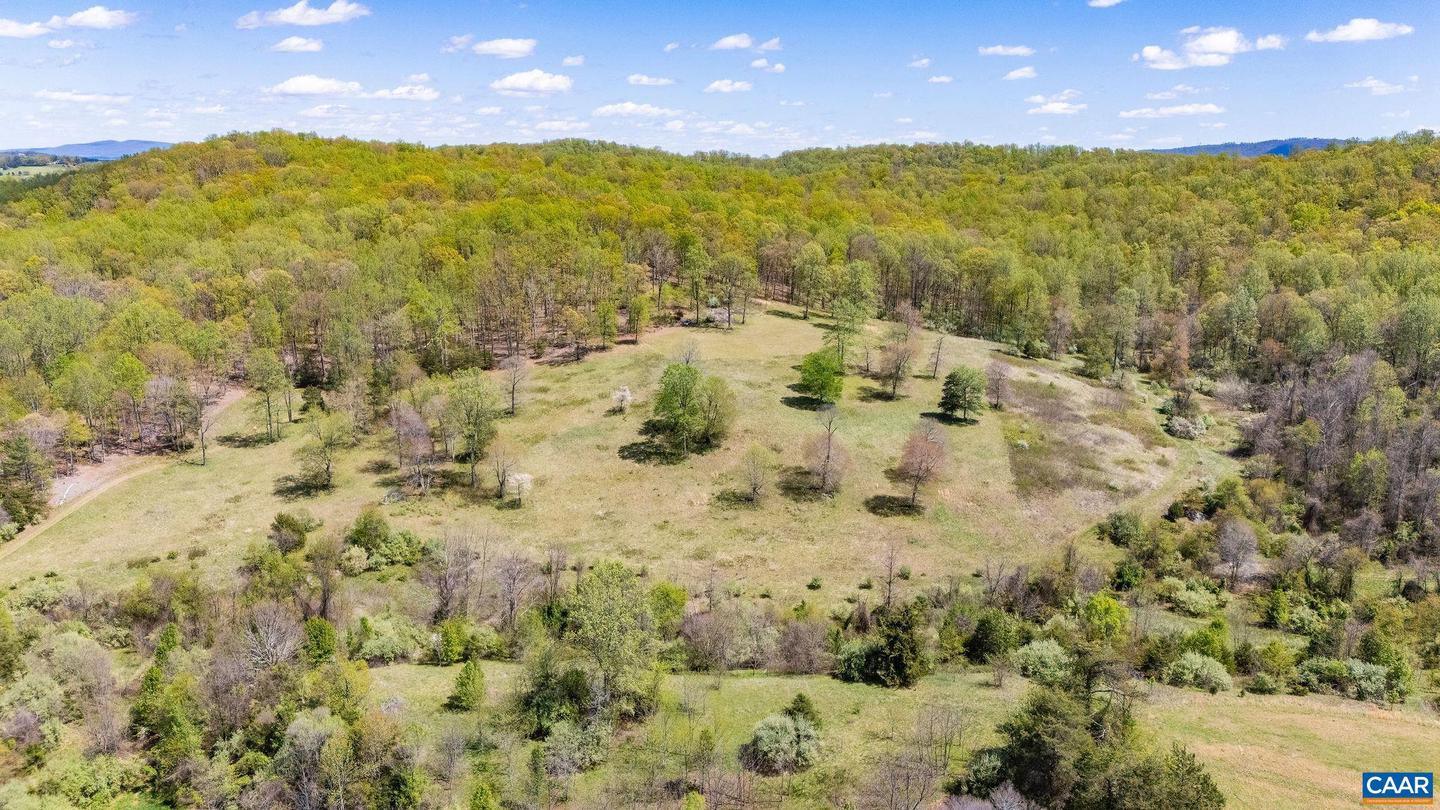 0 BLOOMFIELD RD, CHARLOTTESVILLE, Virginia 22903, ,Land,For sale,0 BLOOMFIELD RD,670832 MLS # 670832 0 BLOOMFIELD RD, CHARLOTTESVILLE, Virginia 22903, ,Land,For sale,0 BLOOMFIELD RD,670832 MLS # 670832