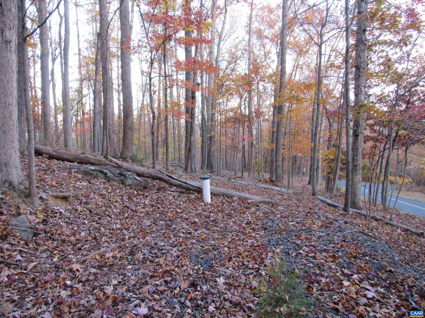 10 RODES VALLEY DR #10, NELLYSFORD, Virginia 22958, ,Land,For sale,10 RODES VALLEY DR #10,670841 MLS # 670841 10 RODES VALLEY DR #10, NELLYSFORD, Virginia 22958, ,Land,For sale,10 RODES VALLEY DR #10,670841 MLS # 670841