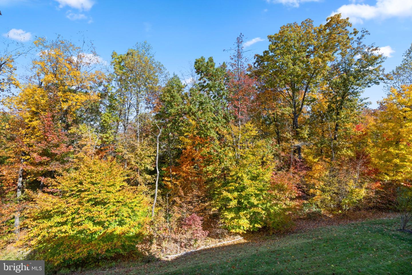 176 VERBENA DR, STAFFORD, Virginia 22554, 4 Bedrooms Bedrooms, ,4 BathroomsBathrooms,Residential,For sale,176 VERBENA DR,VAST2043888 MLS # VAST2043888