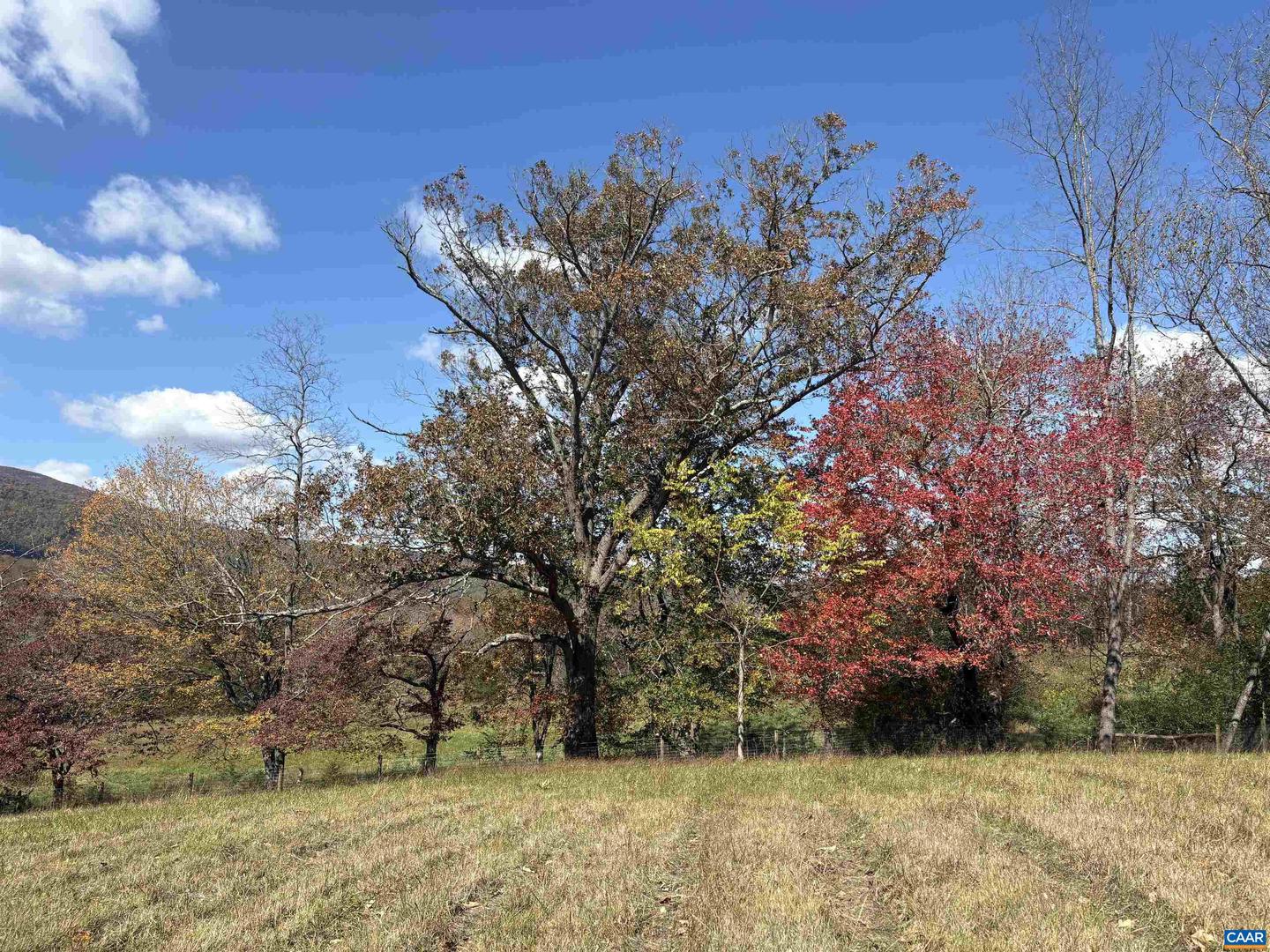 234 CREEK RD, AFTON, Virginia 22920, 3 Bedrooms Bedrooms, ,3 BathroomsBathrooms,Residential,For sale,234 CREEK RD,670559 MLS # 670559