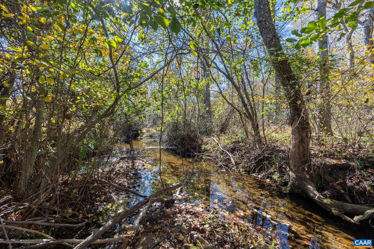 234 CREEK RD, AFTON, Virginia 22920, 3 Bedrooms Bedrooms, ,3 BathroomsBathrooms,Residential,For sale,234 CREEK RD,670559 MLS # 670559