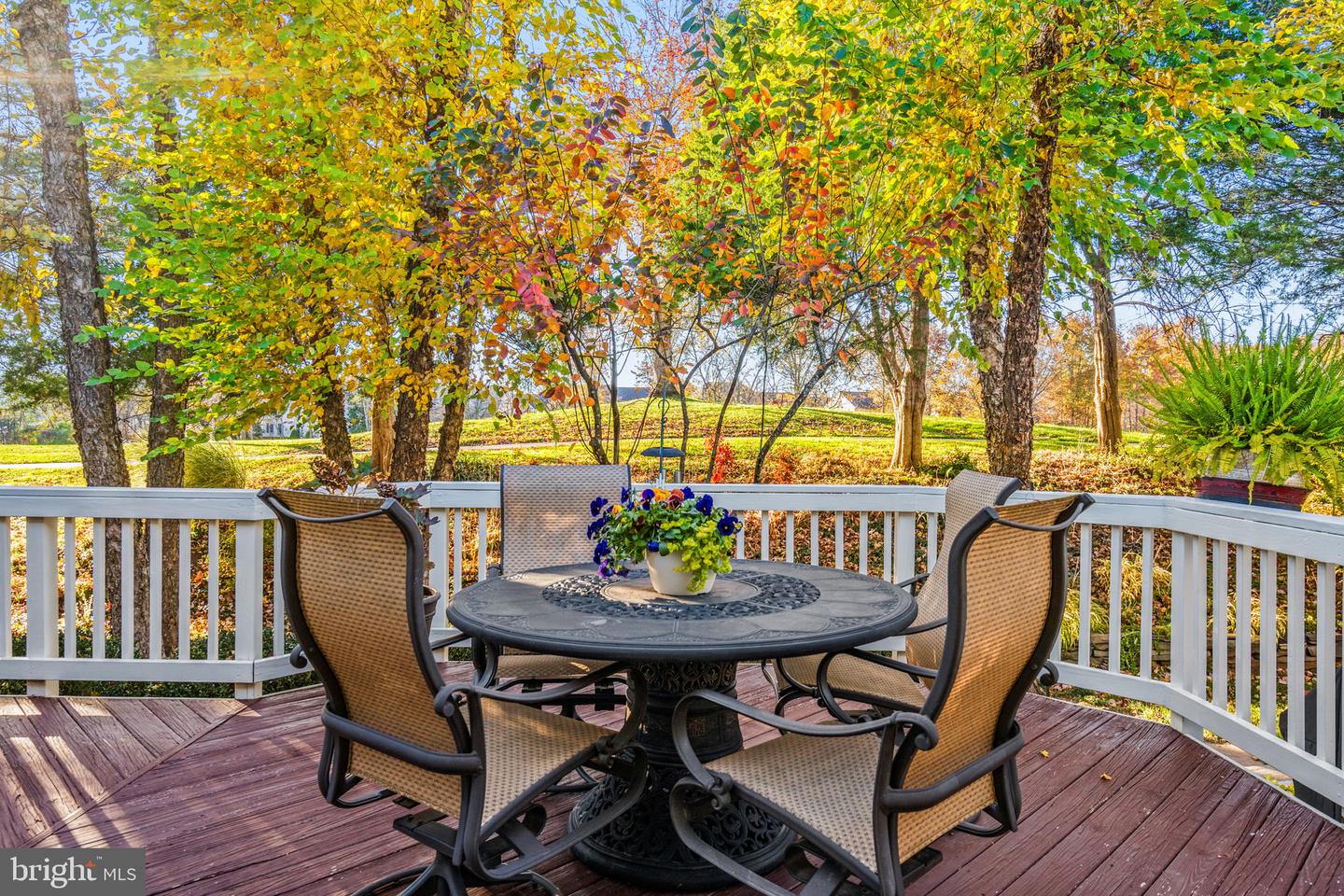 6020 DUNNBROOK TER, HAYMARKET, Virginia 20169, 3 Bedrooms Bedrooms, ,3 BathroomsBathrooms,Residential,For sale,6020 DUNNBROOK TER,VAPW2107168 MLS # VAPW2107168