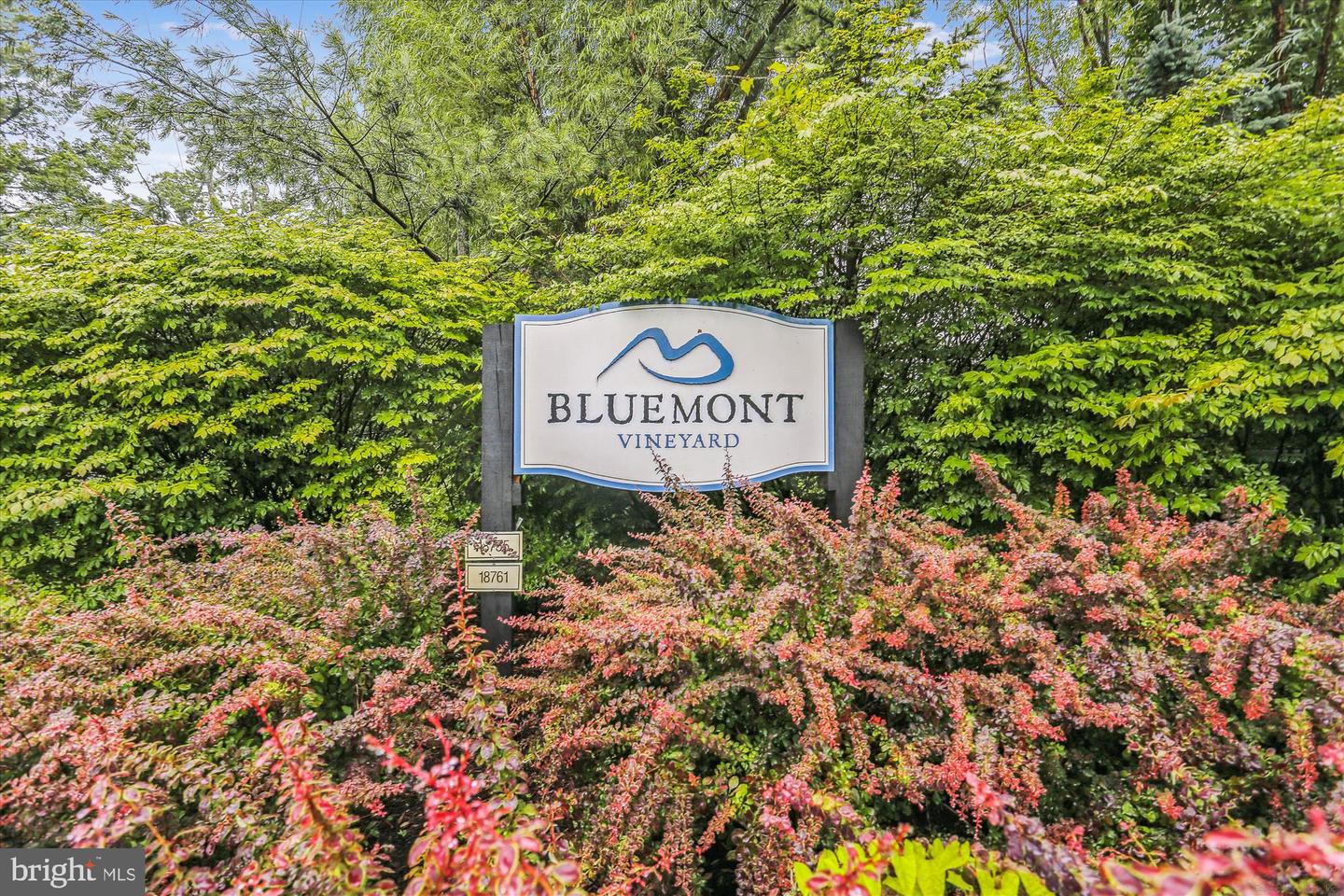 598 TIMBER LN, BLUEMONT, Virginia 20135, 2 Bedrooms Bedrooms, ,1 BathroomBathrooms,Residential,For sale,598 TIMBER LN,VACL2006198 MLS # VACL2006198 598 TIMBER LN, BLUEMONT, Virginia 20135, 2 Bedrooms Bedrooms, ,1 BathroomBathrooms,Residential,For sale,598 TIMBER LN,VACL2006198 MLS # VACL2006198