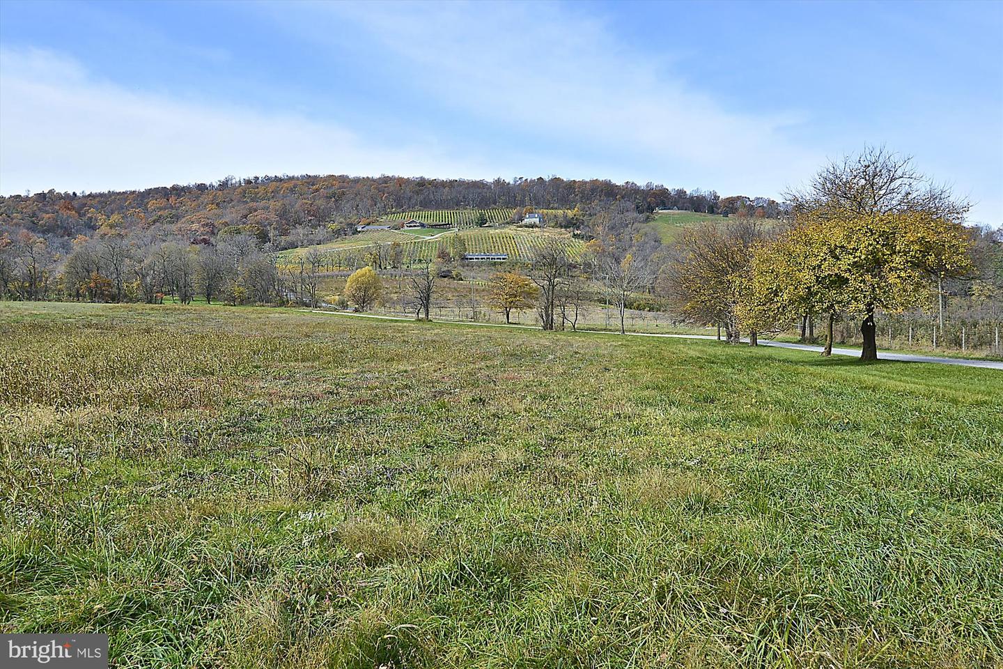 598 TIMBER LN, BLUEMONT, Virginia 20135, 2 Bedrooms Bedrooms, ,1 BathroomBathrooms,Residential,For sale,598 TIMBER LN,VACL2006198 MLS # VACL2006198 598 TIMBER LN, BLUEMONT, Virginia 20135, 2 Bedrooms Bedrooms, ,1 BathroomBathrooms,Residential,For sale,598 TIMBER LN,VACL2006198 MLS # VACL2006198