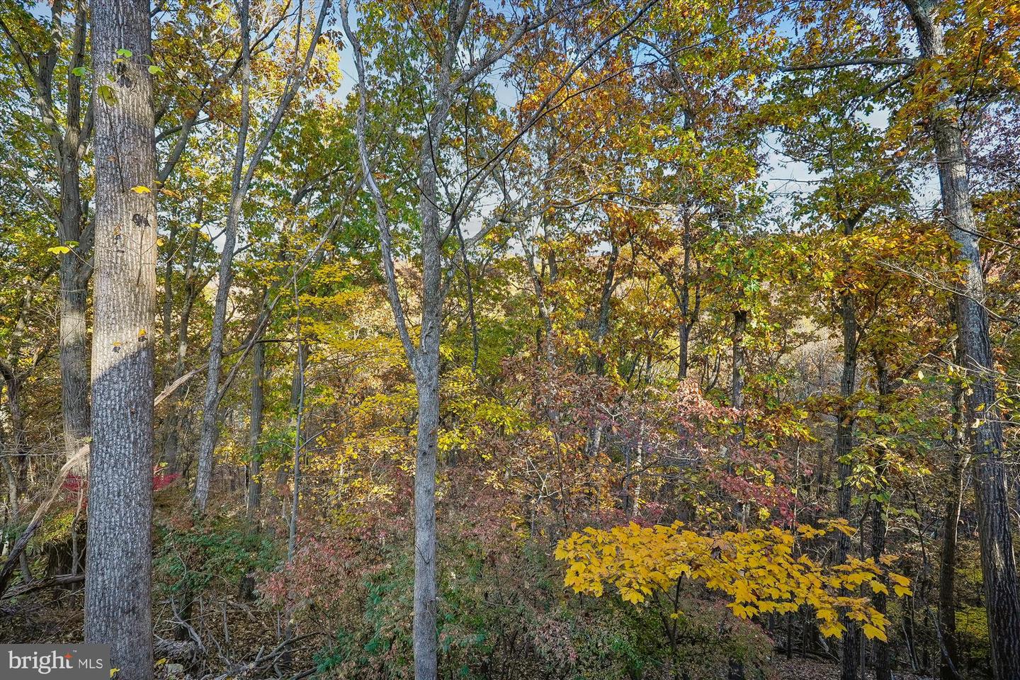 598 TIMBER LN, BLUEMONT, Virginia 20135, 2 Bedrooms Bedrooms, ,1 BathroomBathrooms,Residential,For sale,598 TIMBER LN,VACL2006198 MLS # VACL2006198 598 TIMBER LN, BLUEMONT, Virginia 20135, 2 Bedrooms Bedrooms, ,1 BathroomBathrooms,Residential,For sale,598 TIMBER LN,VACL2006198 MLS # VACL2006198