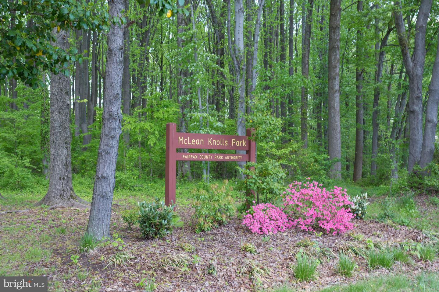1353 MONITOR LN, MCLEAN, Virginia 22101, 6 Bedrooms Bedrooms, ,6 BathroomsBathrooms,Residential,For sale,1353 MONITOR LN,VAFX2277534 MLS # VAFX2277534 1353 MONITOR LN, MCLEAN, Virginia 22101, 6 Bedrooms Bedrooms, ,6 BathroomsBathrooms,Residential,For sale,1353 MONITOR LN,VAFX2277534 MLS # VAFX2277534