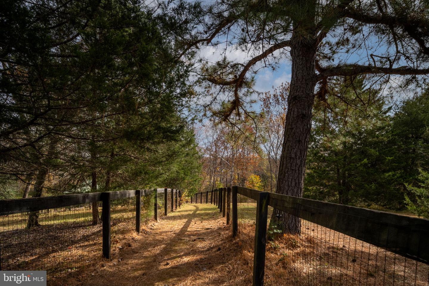 6483 FIELDSTONE LN, RHOADESVILLE, Virginia 22542, 4 Bedrooms Bedrooms, ,2 BathroomsBathrooms,Residential,For sale,6483 FIELDSTONE LN,VAOR2012736 MLS # VAOR2012736 6483 FIELDSTONE LN, RHOADESVILLE, Virginia 22542, 4 Bedrooms Bedrooms, ,2 BathroomsBathrooms,Residential,For sale,6483 FIELDSTONE LN,VAOR2012736 MLS # VAOR2012736