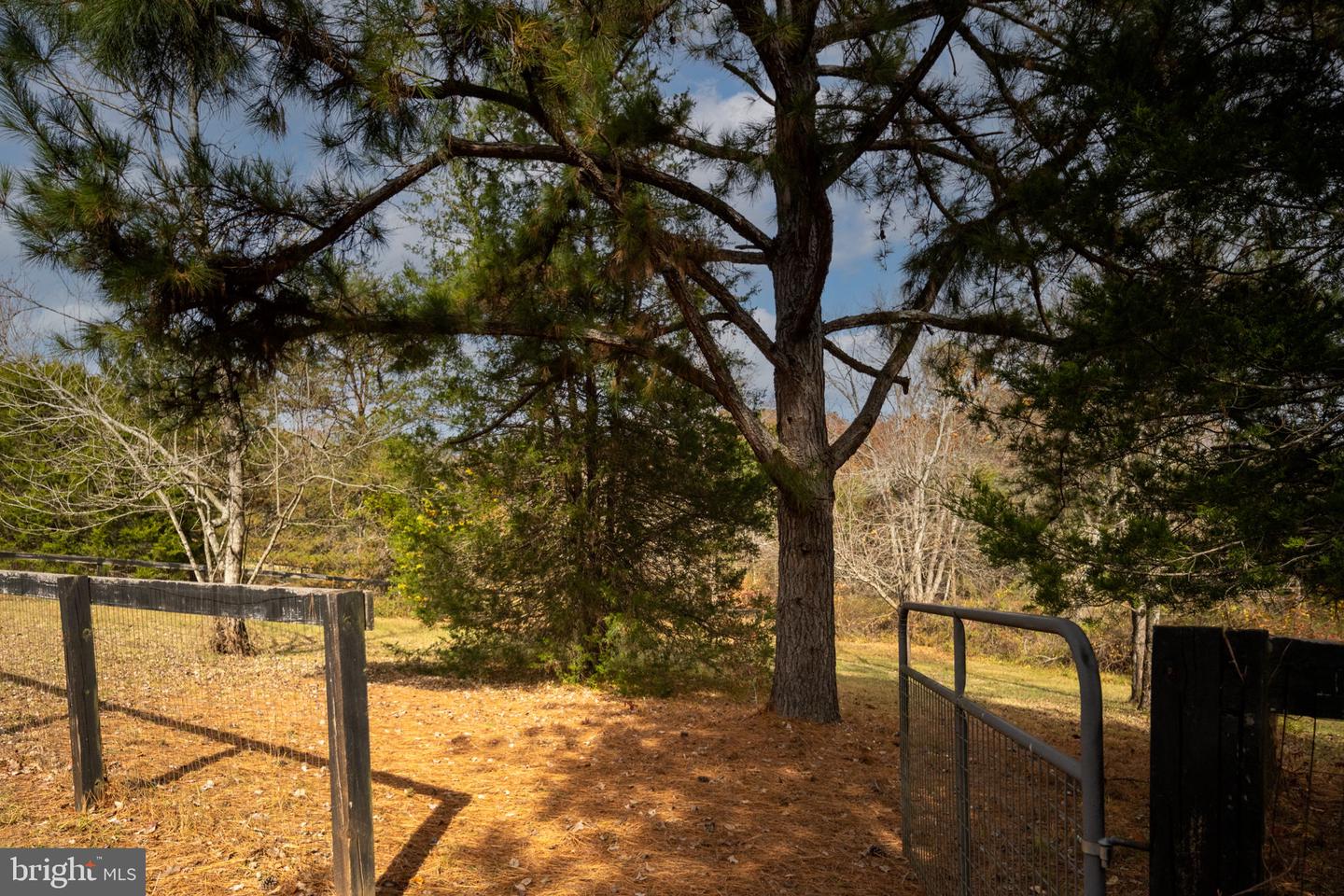 6483 FIELDSTONE LN, RHOADESVILLE, Virginia 22542, 4 Bedrooms Bedrooms, ,2 BathroomsBathrooms,Residential,For sale,6483 FIELDSTONE LN,VAOR2012736 MLS # VAOR2012736 6483 FIELDSTONE LN, RHOADESVILLE, Virginia 22542, 4 Bedrooms Bedrooms, ,2 BathroomsBathrooms,Residential,For sale,6483 FIELDSTONE LN,VAOR2012736 MLS # VAOR2012736