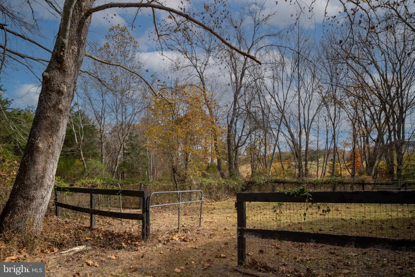 6483 FIELDSTONE LN, RHOADESVILLE, Virginia 22542, 4 Bedrooms Bedrooms, ,2 BathroomsBathrooms,Residential,For sale,6483 FIELDSTONE LN,VAOR2012736 MLS # VAOR2012736 6483 FIELDSTONE LN, RHOADESVILLE, Virginia 22542, 4 Bedrooms Bedrooms, ,2 BathroomsBathrooms,Residential,For sale,6483 FIELDSTONE LN,VAOR2012736 MLS # VAOR2012736