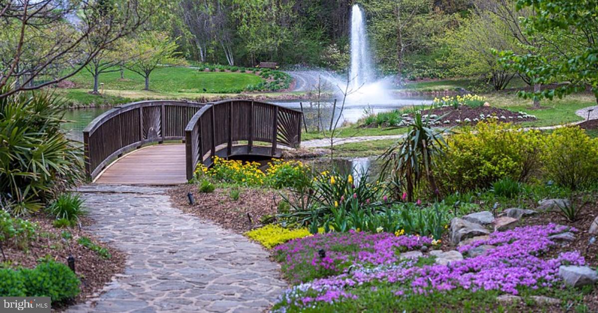 9132 ERMANTRUDE CT, VIENNA, Virginia 22182, 4 Bedrooms Bedrooms, ,3 BathroomsBathrooms,Residential,For sale,9132 ERMANTRUDE CT,VAFX2277792 MLS # VAFX2277792 9132 ERMANTRUDE CT, VIENNA, Virginia 22182, 4 Bedrooms Bedrooms, ,3 BathroomsBathrooms,Residential,For sale,9132 ERMANTRUDE CT,VAFX2277792 MLS # VAFX2277792