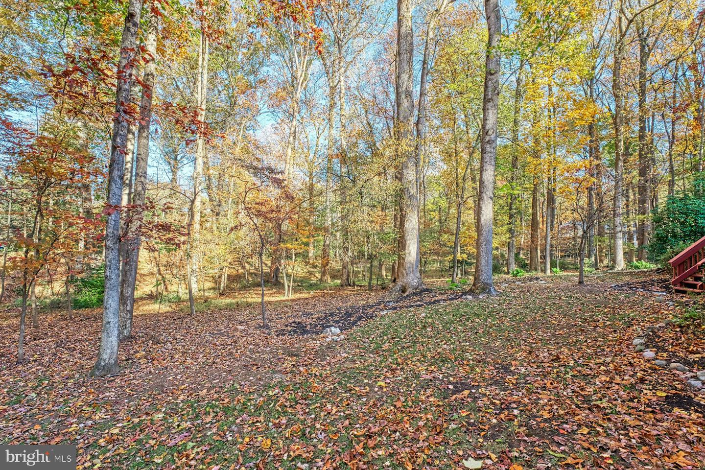 11008 DEVENISH DR, OAKTON, Virginia 22124, 4 Bedrooms Bedrooms, ,3 BathroomsBathrooms,Residential,For sale,11008 DEVENISH DR,VAFX2277816 MLS # VAFX2277816