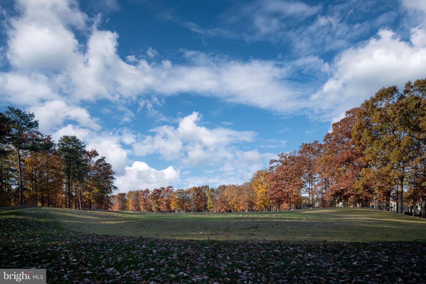 10816 CHATHAM RIDGE WAY, SPOTSYLVANIA, Virginia 22551, 3 Bedrooms Bedrooms, ,2 BathroomsBathrooms,Residential,For sale,10816 CHATHAM RIDGE WAY,VASP2037432 MLS # VASP2037432