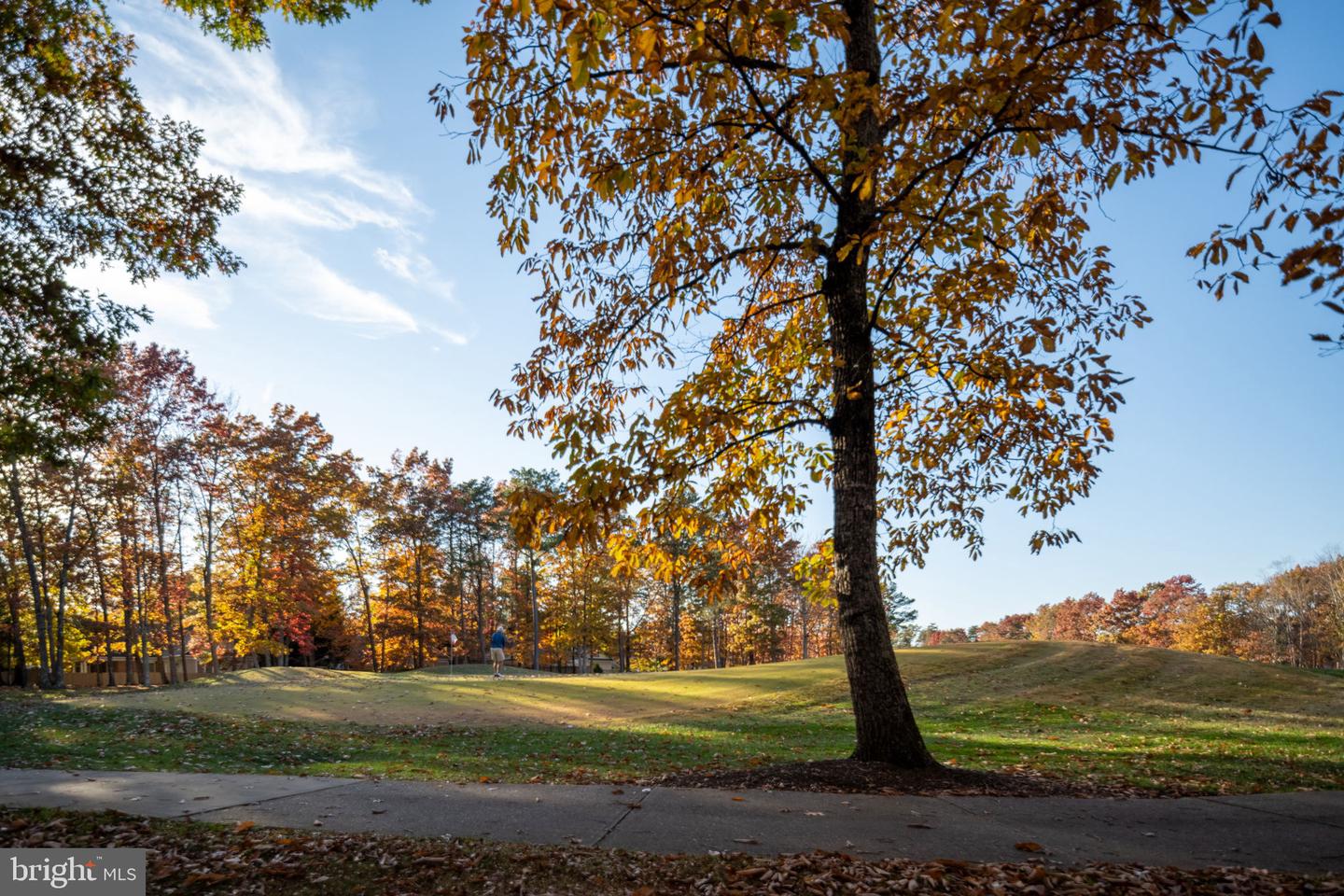 10816 CHATHAM RIDGE WAY, SPOTSYLVANIA, Virginia 22551, 3 Bedrooms Bedrooms, ,2 BathroomsBathrooms,Residential,For sale,10816 CHATHAM RIDGE WAY,VASP2037432 MLS # VASP2037432