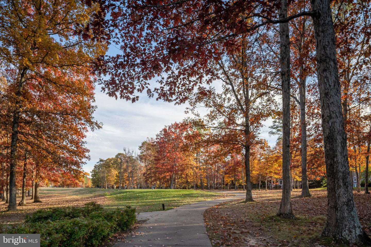 10816 CHATHAM RIDGE WAY, SPOTSYLVANIA, Virginia 22551, 3 Bedrooms Bedrooms, ,2 BathroomsBathrooms,Residential,For sale,10816 CHATHAM RIDGE WAY,VASP2037432 MLS # VASP2037432