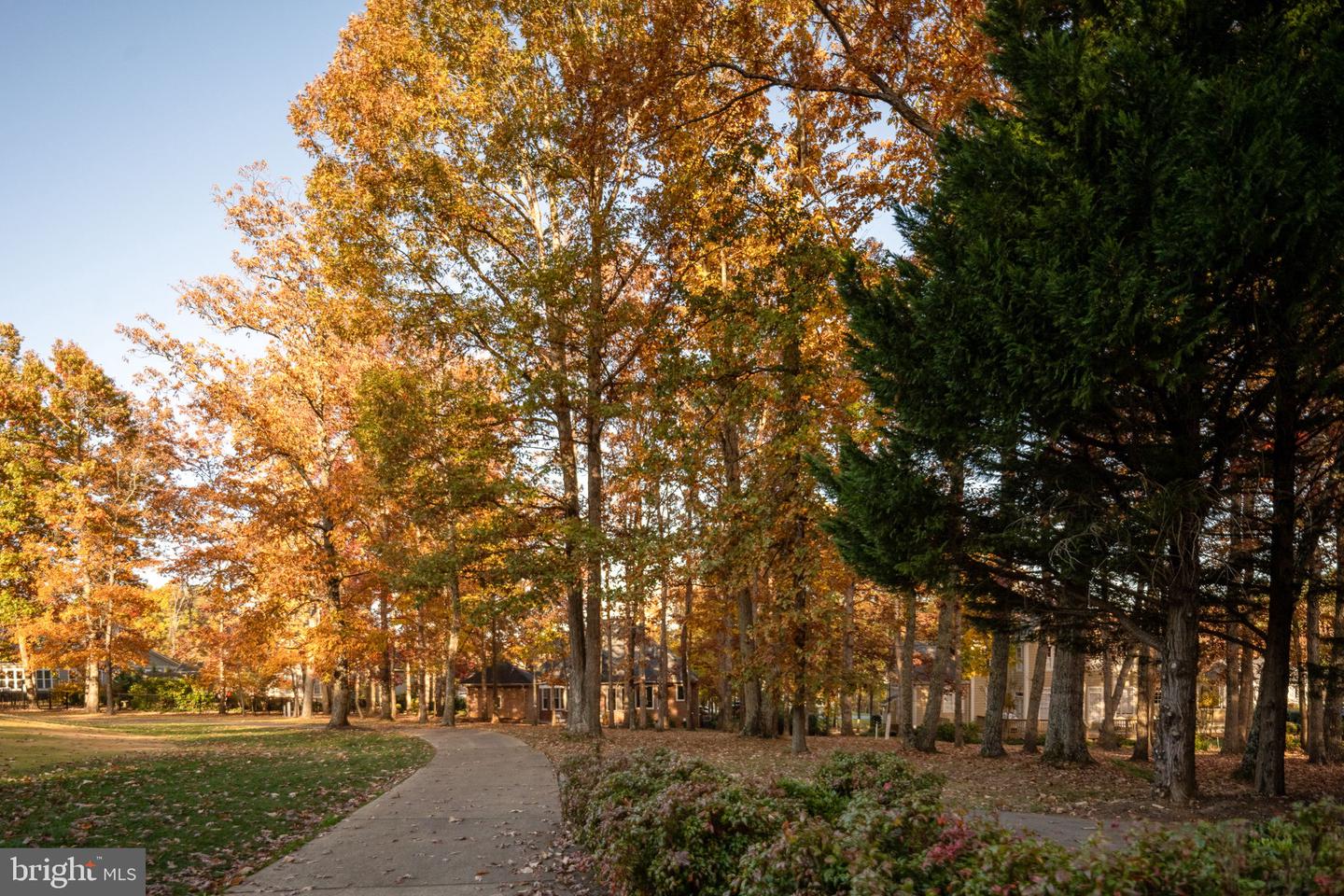 10816 CHATHAM RIDGE WAY, SPOTSYLVANIA, Virginia 22551, 3 Bedrooms Bedrooms, ,2 BathroomsBathrooms,Residential,For sale,10816 CHATHAM RIDGE WAY,VASP2037432 MLS # VASP2037432