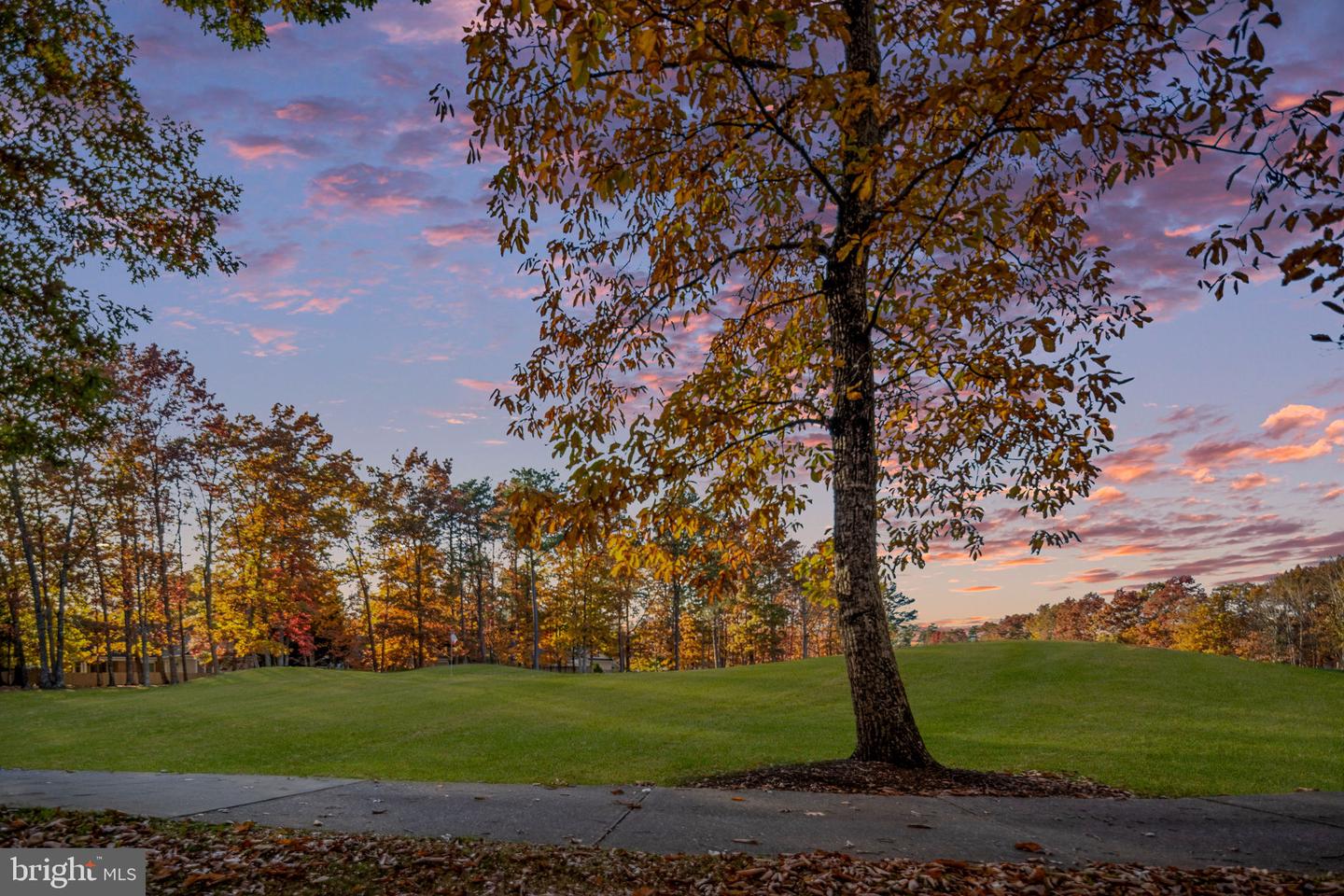 10816 CHATHAM RIDGE WAY, SPOTSYLVANIA, Virginia 22551, 3 Bedrooms Bedrooms, ,2 BathroomsBathrooms,Residential,For sale,10816 CHATHAM RIDGE WAY,VASP2037432 MLS # VASP2037432