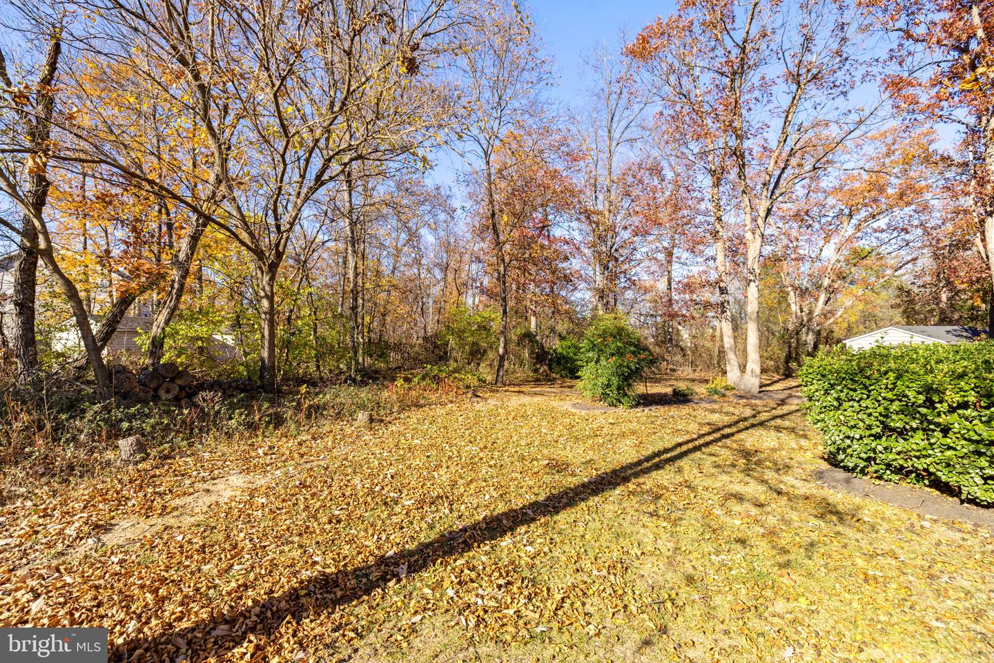 109 PLUM CT, STEPHENS CITY, Virginia 22655, 4 Bedrooms Bedrooms, ,2 BathroomsBathrooms,Residential,For sale,109 PLUM CT,VAFV2037850 MLS # VAFV2037850