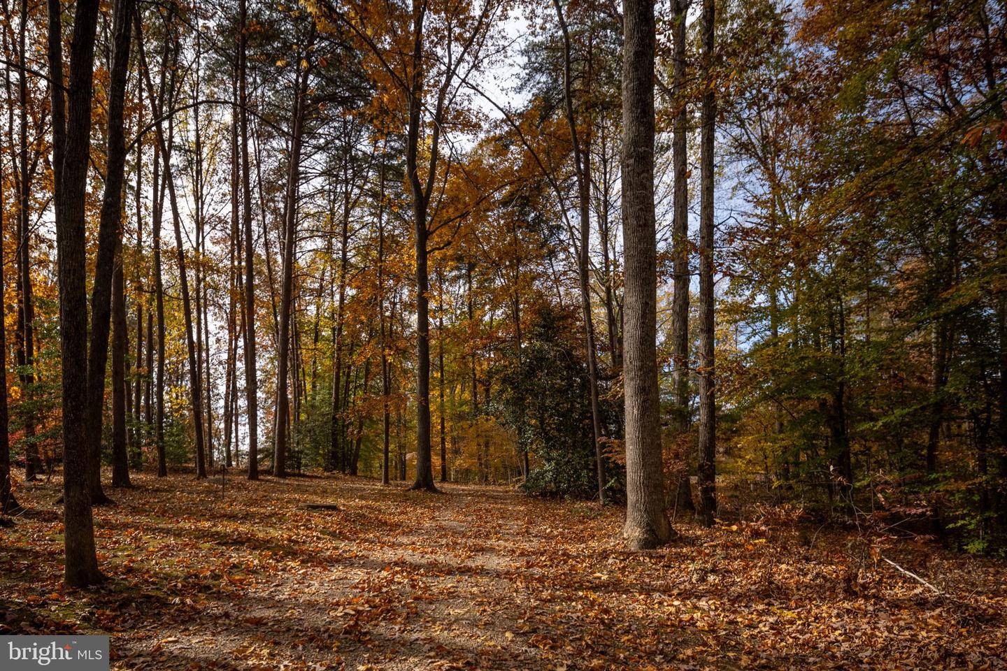 2841 BLOUNT DR, BUMPASS, Virginia 23024, 3 Bedrooms Bedrooms, 12 Rooms Rooms,2 BathroomsBathrooms,Residential,For sale,2841 BLOUNT DR,VASP2037446 MLS # VASP2037446