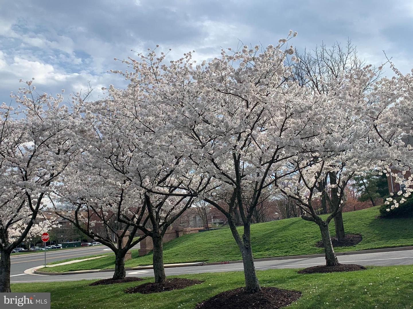 6325 ALDERMAN DR, ALEXANDRIA, Virginia 22315, 4 Bedrooms Bedrooms, 16 Rooms Rooms,3 BathroomsBathrooms,Residential,For sale,6325 ALDERMAN DR,VAFX2278154 MLS # VAFX2278154 6325 ALDERMAN DR, ALEXANDRIA, Virginia 22315, 4 Bedrooms Bedrooms, 16 Rooms Rooms,3 BathroomsBathrooms,Residential,For sale,6325 ALDERMAN DR,VAFX2278154 MLS # VAFX2278154