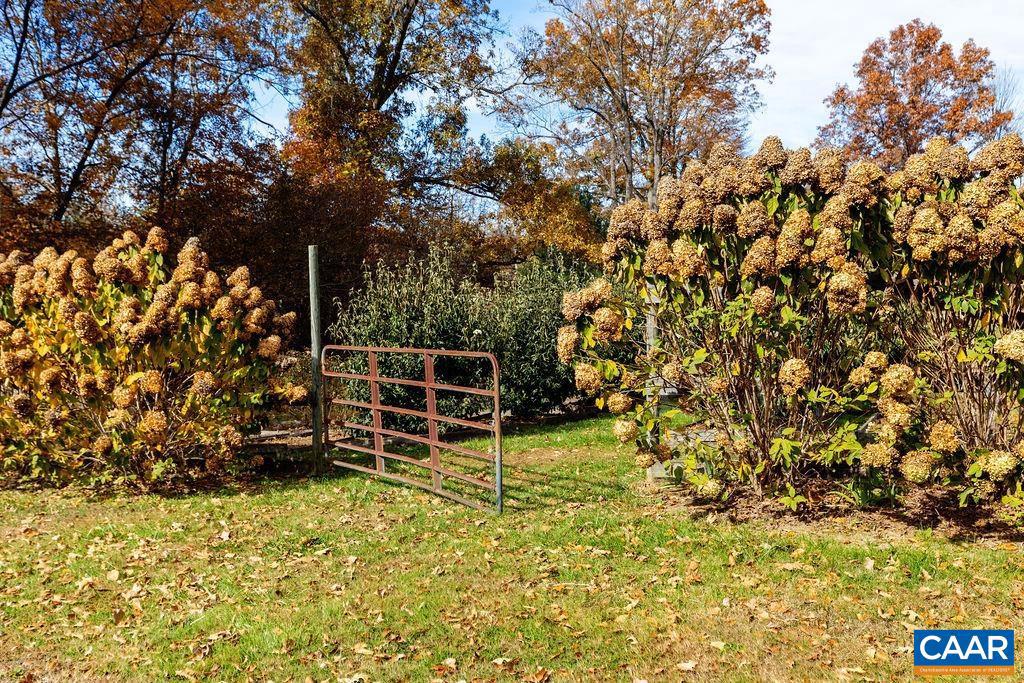 325 OLD ROSELAND RD, ROSELAND, Virginia 22967, 3 Bedrooms Bedrooms, ,2 BathroomsBathrooms,Residential,For sale,325 OLD ROSELAND RD,670821 MLS # 670821 325 OLD ROSELAND RD, ROSELAND, Virginia 22967, 3 Bedrooms Bedrooms, ,2 BathroomsBathrooms,Residential,For sale,325 OLD ROSELAND RD,670821 MLS # 670821