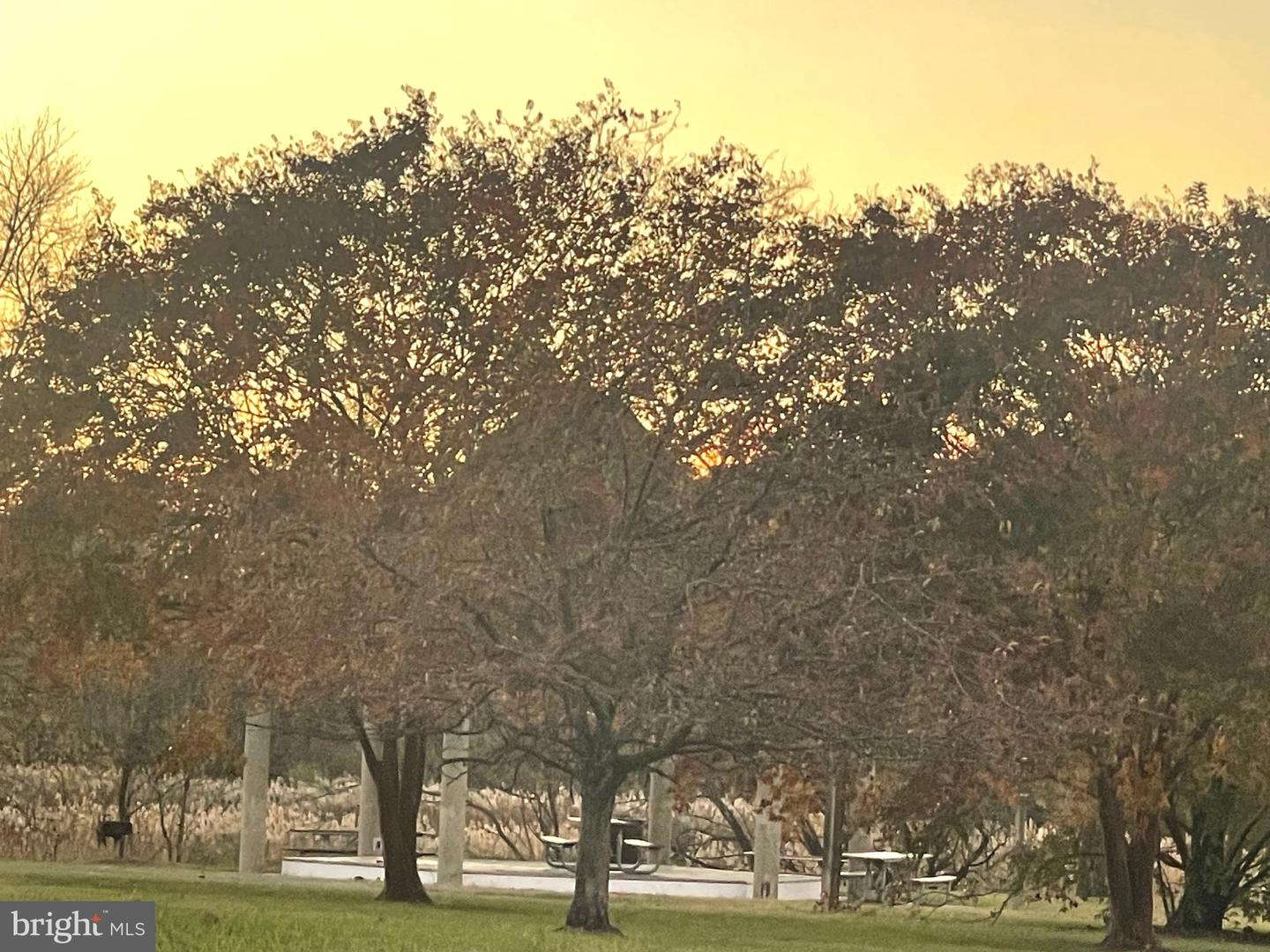 122 33RD ST NE, WASHINGTON, District Of Columbia 20019, 2 Bedrooms Bedrooms, 4 Rooms Rooms,1 BathroomBathrooms,Residential,For sale,122 33RD ST NE,DCDC2230886 MLS # DCDC2230886