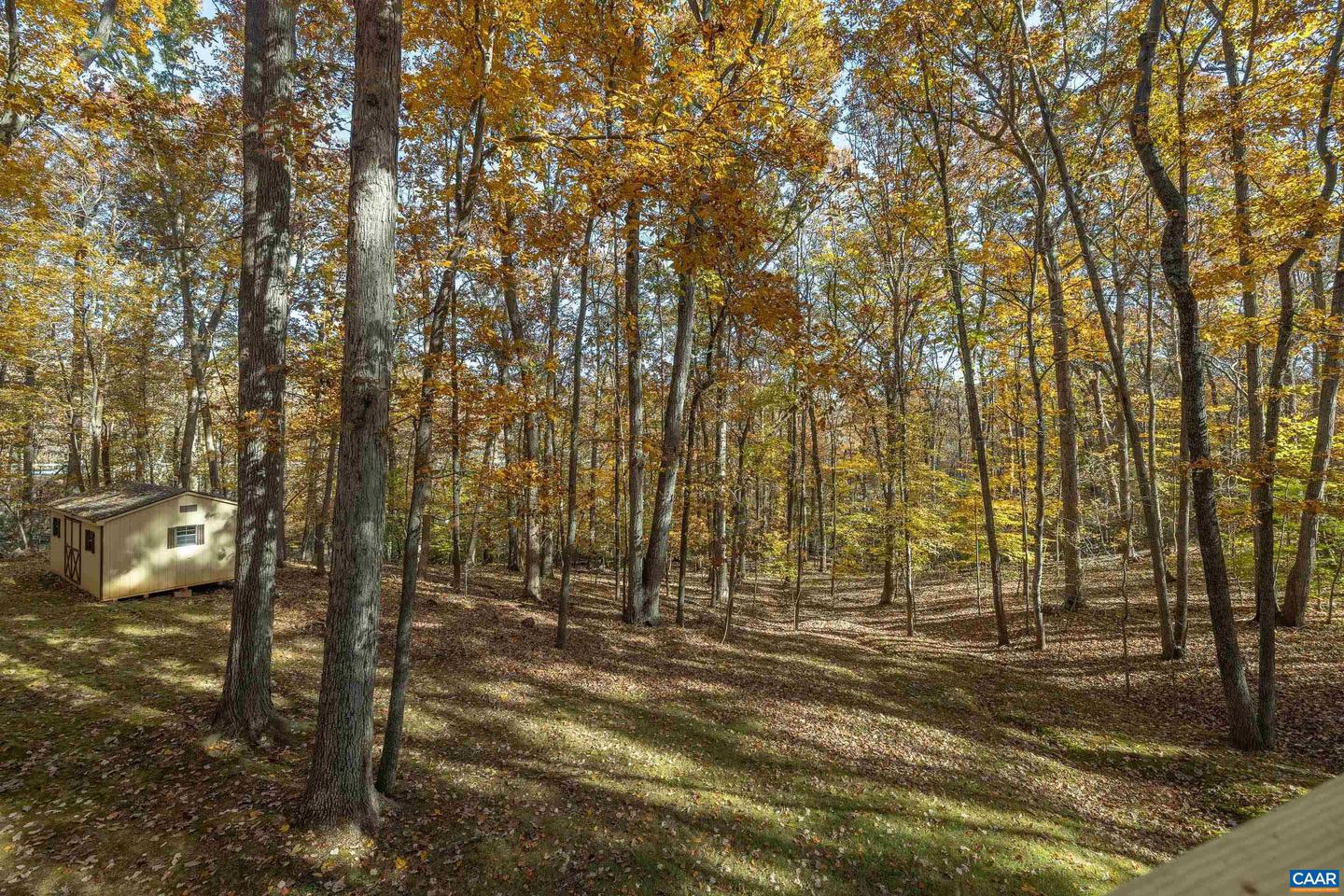 4802 MECHUNK RD, KESWICK, Virginia 22947, 4 Bedrooms Bedrooms, ,2 BathroomsBathrooms,Residential,For sale,4802 MECHUNK RD,670838 MLS # 670838 4802 MECHUNK RD, KESWICK, Virginia 22947, 4 Bedrooms Bedrooms, ,2 BathroomsBathrooms,Residential,For sale,4802 MECHUNK RD,670838 MLS # 670838