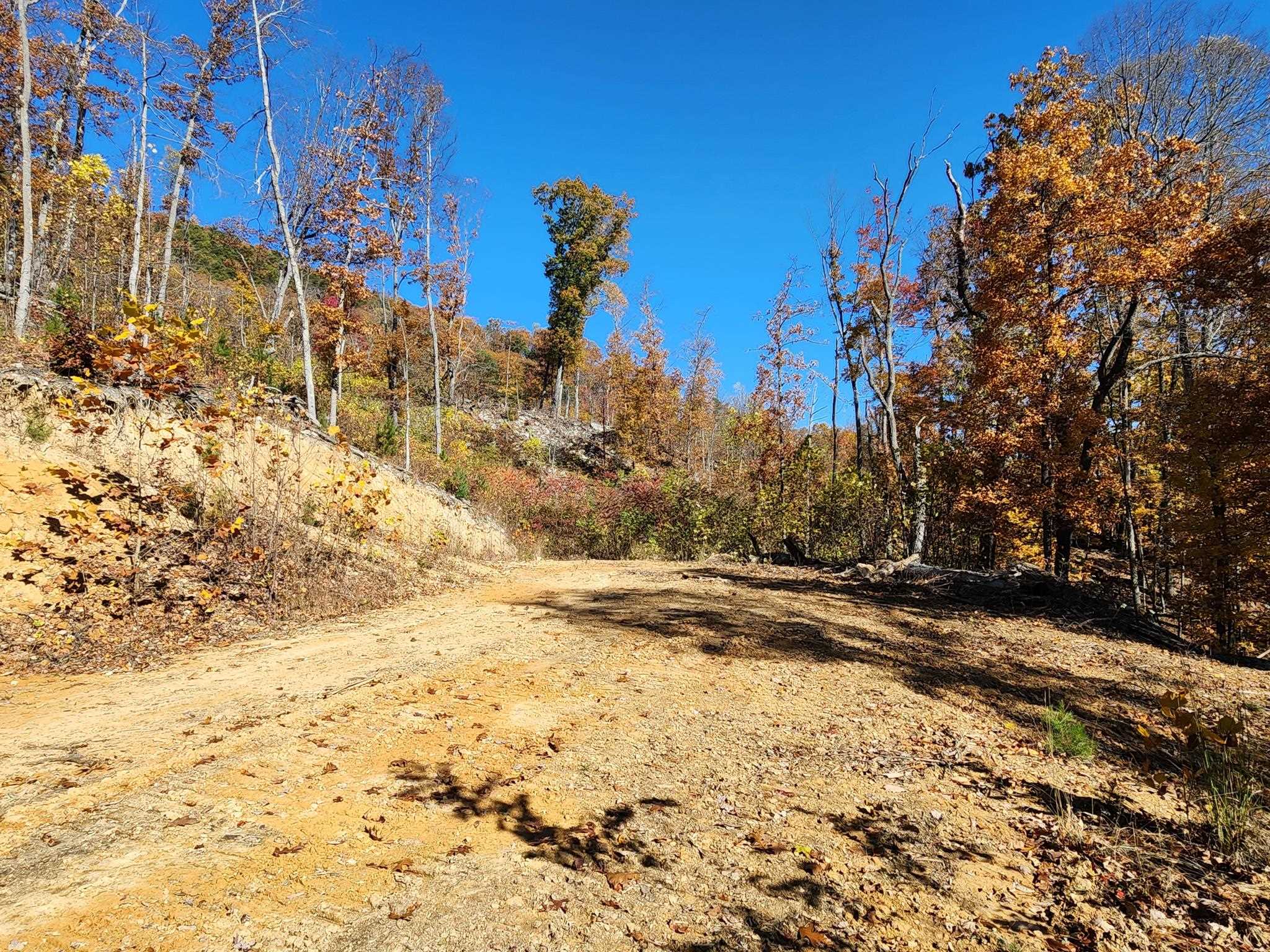 0 BIG RIVER RD, GOSHEN, Virginia 24439, ,Farm,0 BIG RIVER RD,670882 MLS # 670882