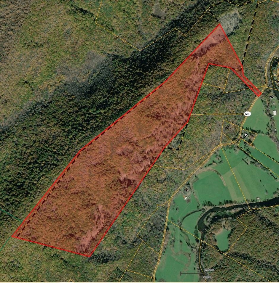 0 BIG RIVER RD, GOSHEN, Virginia 24439, ,Farm,0 BIG RIVER RD,670882 MLS # 670882