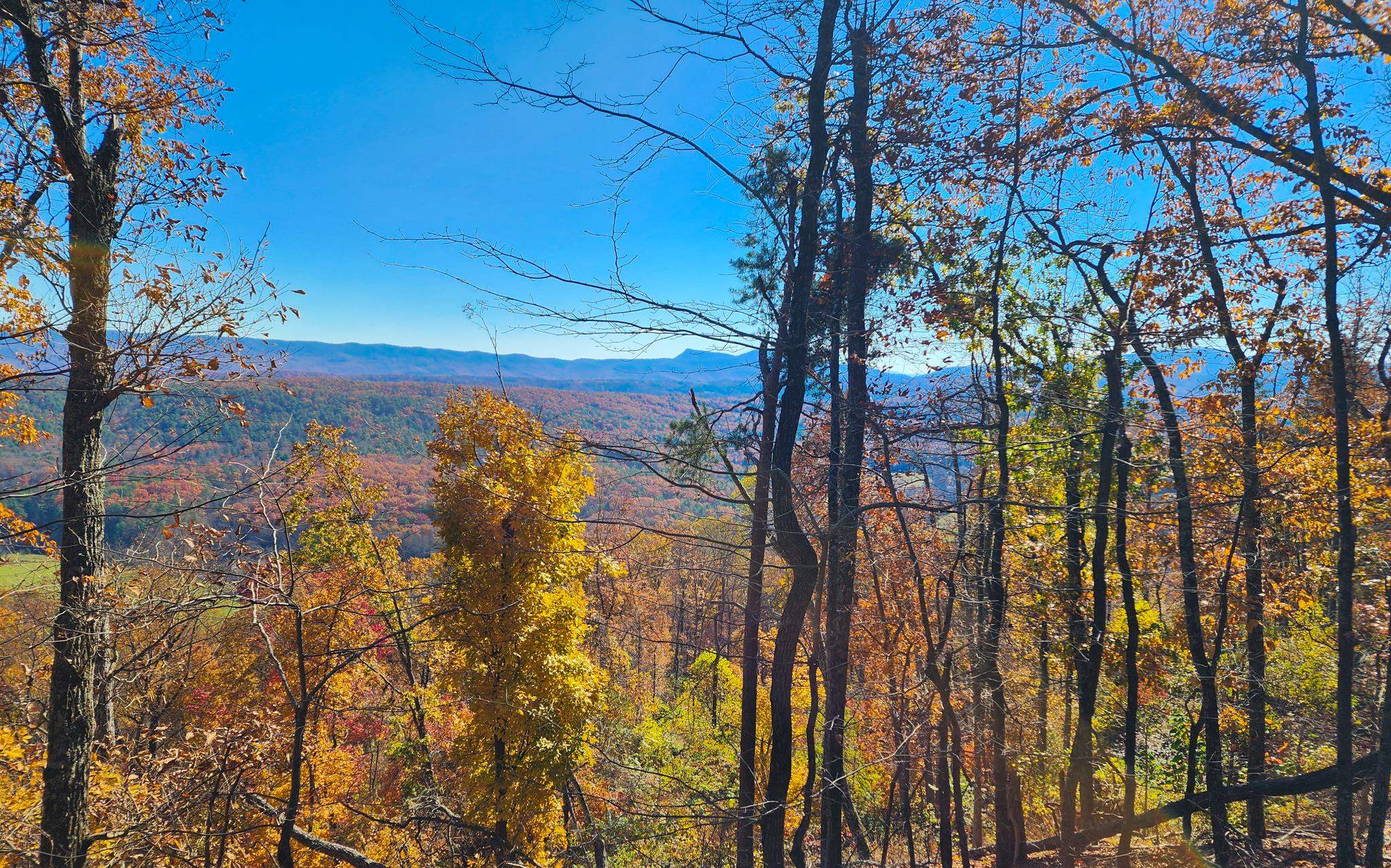 0 BIG RIVER RD, GOSHEN, Virginia 24439, ,Farm,0 BIG RIVER RD,670882 MLS # 670882