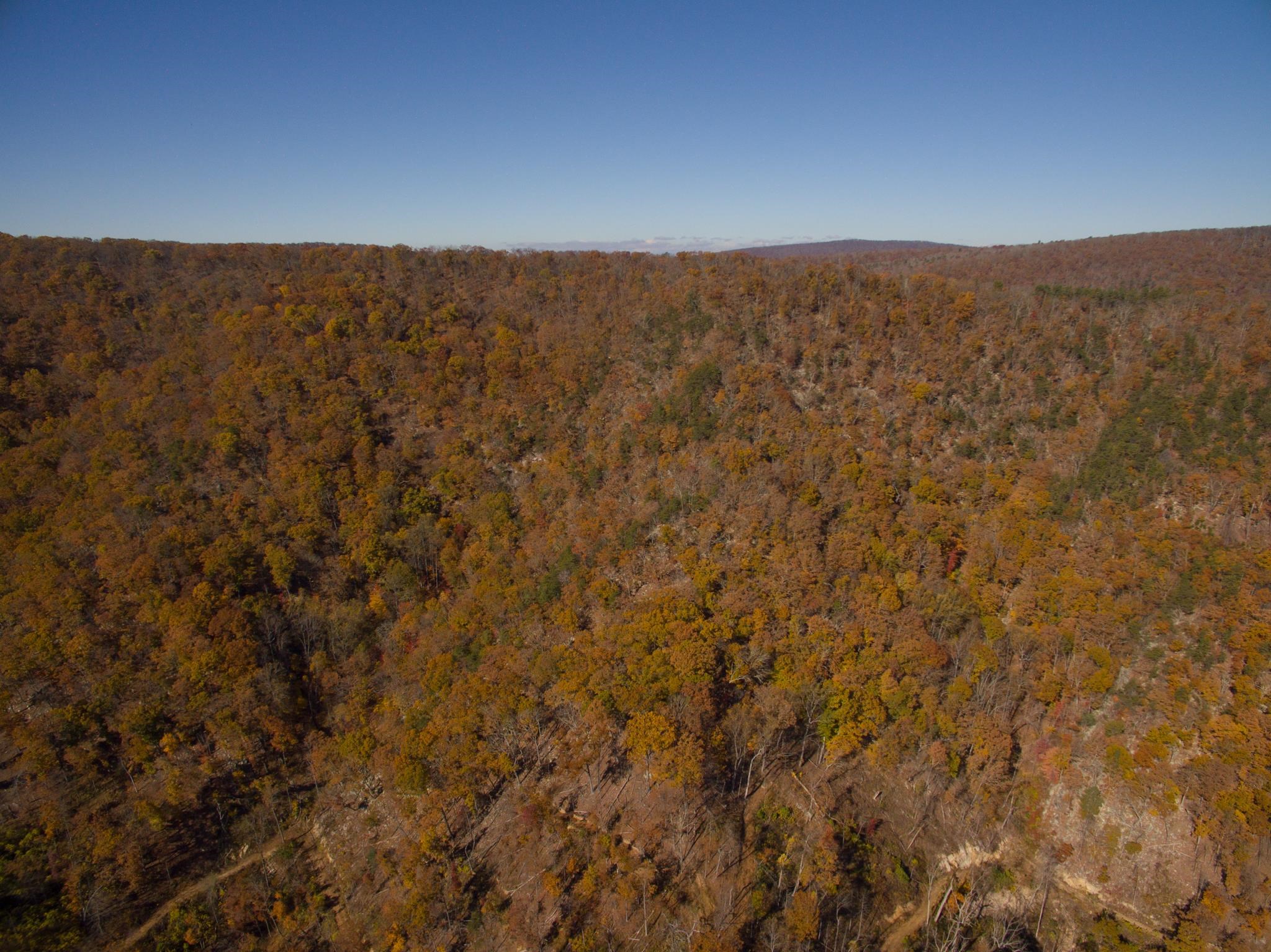 0 BIG RIVER RD, GOSHEN, Virginia 24439, ,Farm,0 BIG RIVER RD,670882 MLS # 670882