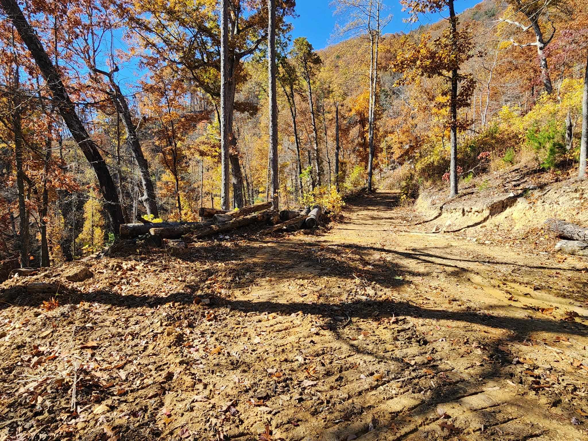 0 BIG RIVER RD, GOSHEN, Virginia 24439, ,Farm,0 BIG RIVER RD,670882 MLS # 670882