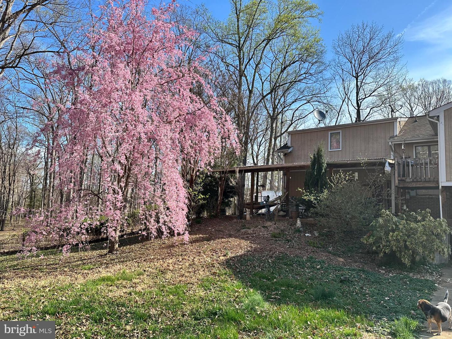 3587 MONARCH LN, MIDLAND, Virginia 22728, 5 Bedrooms Bedrooms, ,2 BathroomsBathrooms,Residential,For sale,3587 MONARCH LN,VAFQ2016148 MLS # VAFQ2016148