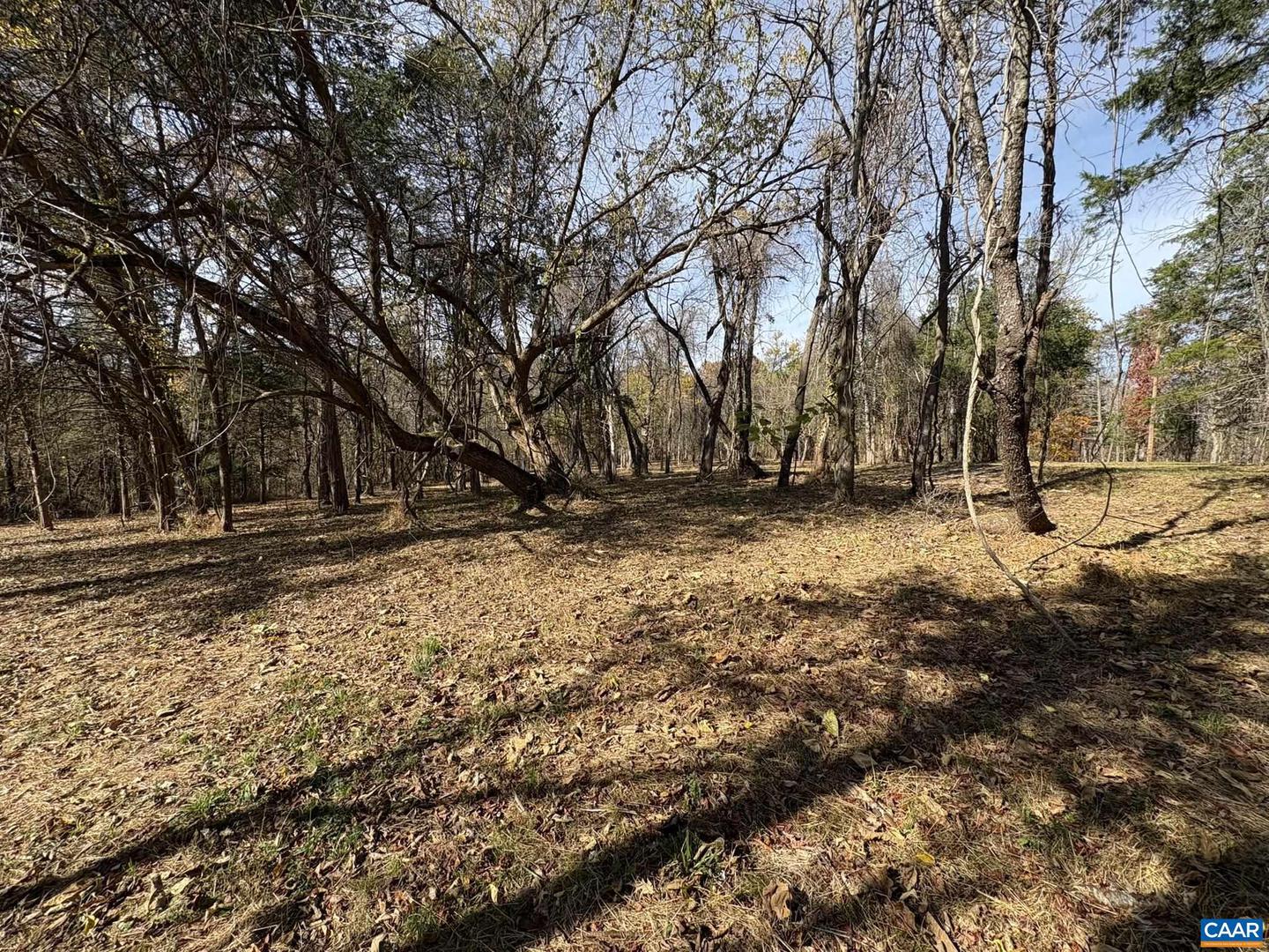 PARCEL A DULWICH DR, AMHERST, Virginia 24521, ,Land,For sale,PARCEL A DULWICH DR,670791 MLS # 670791