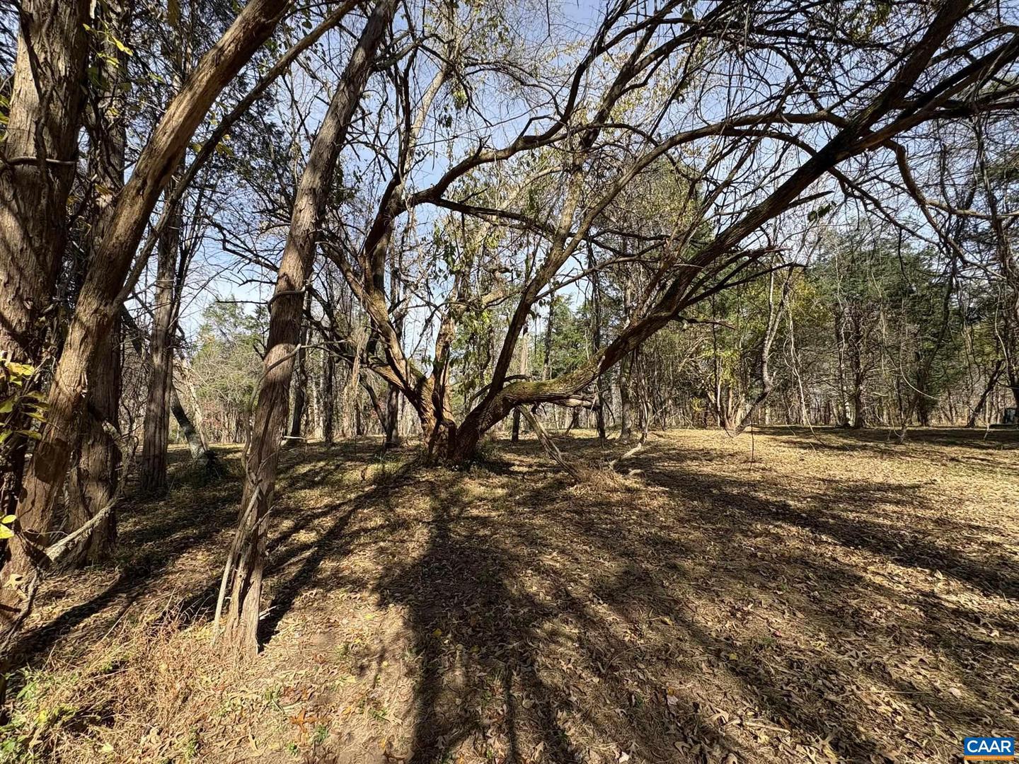 PARCEL A DULWICH DR, AMHERST, Virginia 24521, ,Land,For sale,PARCEL A DULWICH DR,670791 MLS # 670791