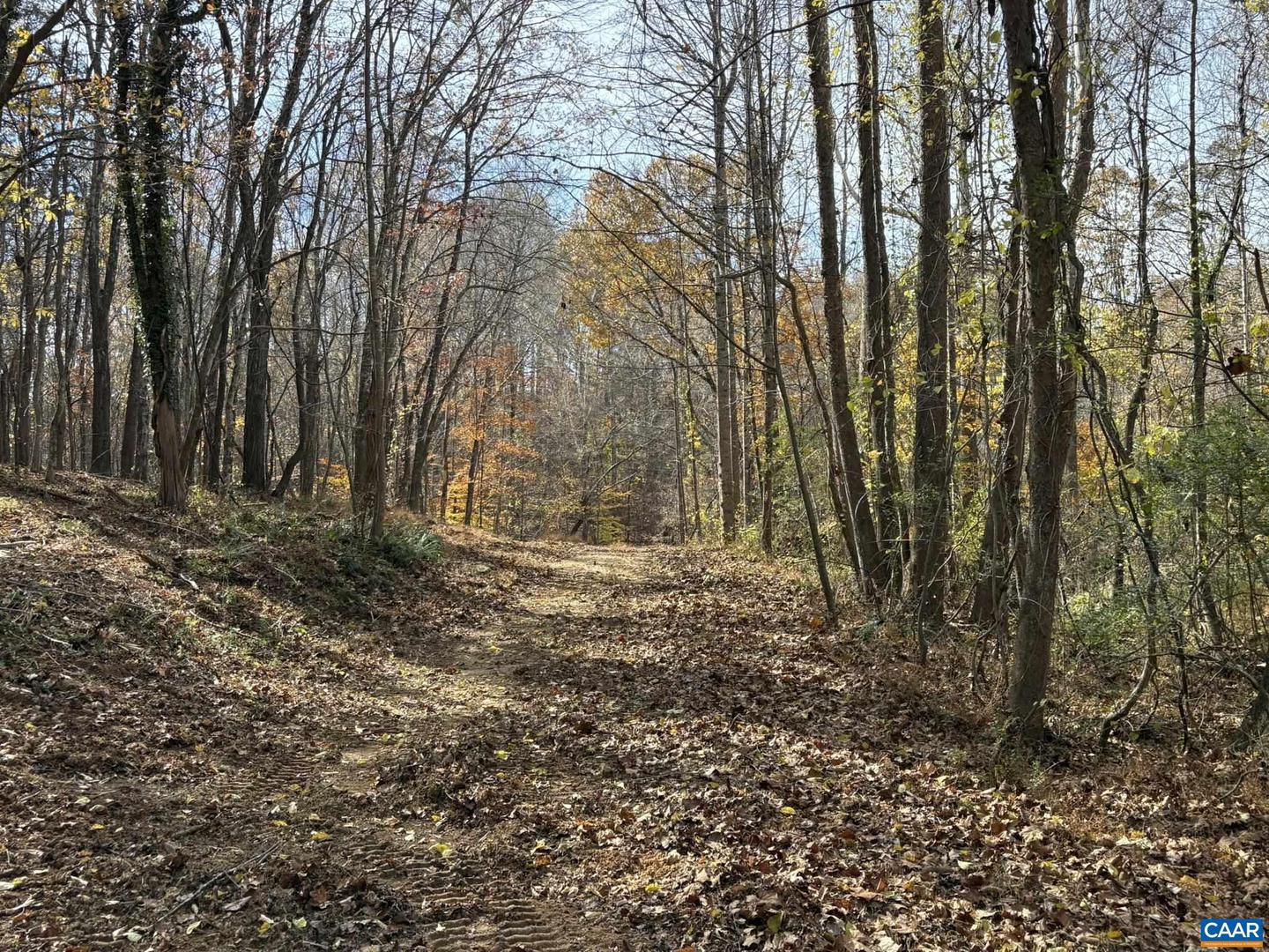 PARCEL A DULWICH DR, AMHERST, Virginia 24521, ,Land,For sale,PARCEL A DULWICH DR,670791 MLS # 670791