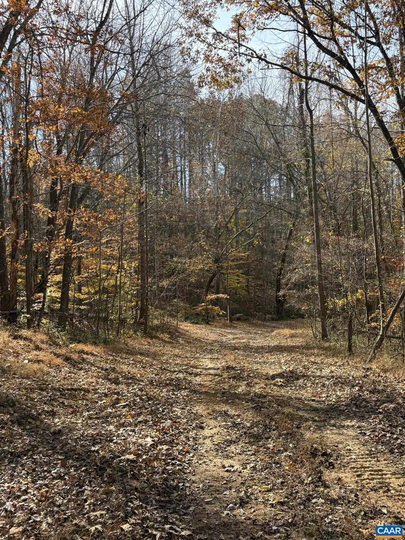 PARCEL A DULWICH DR, AMHERST, Virginia 24521, ,Land,For sale,PARCEL A DULWICH DR,670791 MLS # 670791