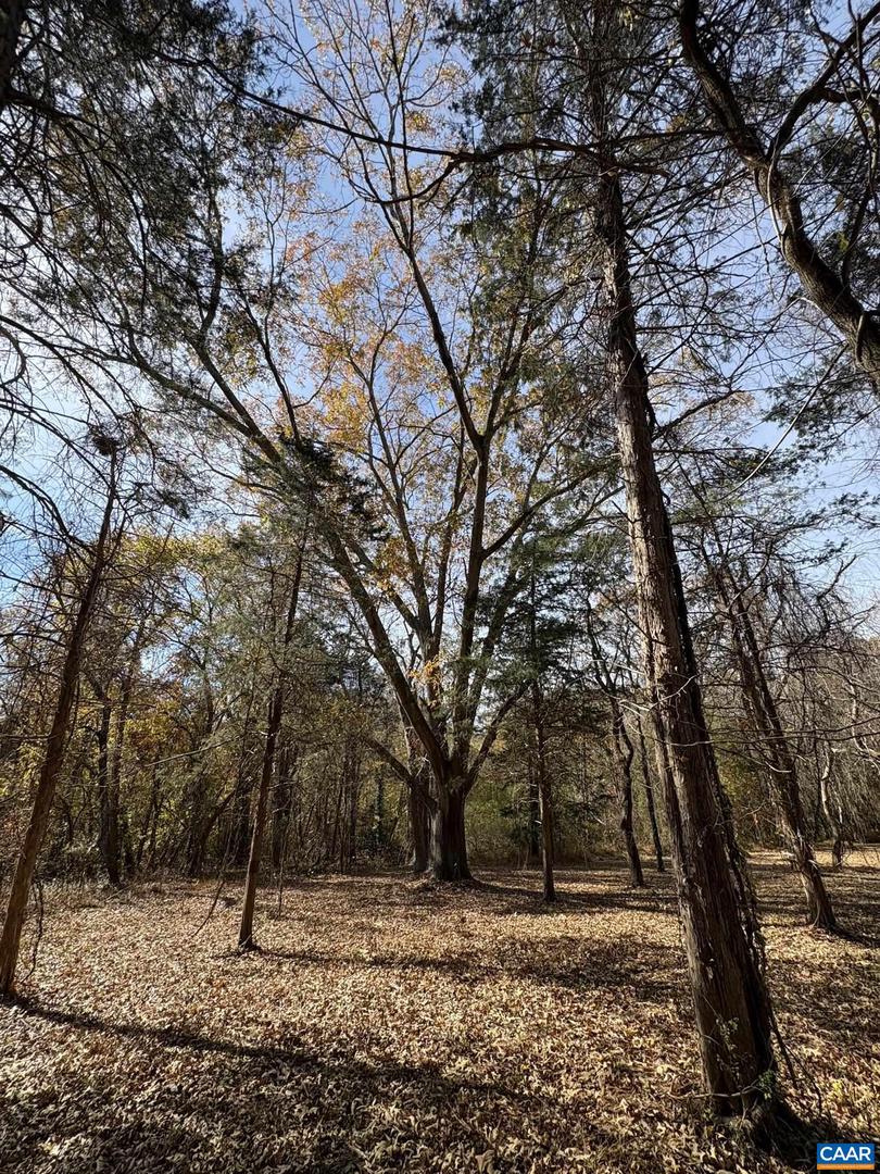 PARCEL A DULWICH DR, AMHERST, Virginia 24521, ,Land,For sale,PARCEL A DULWICH DR,670791 MLS # 670791