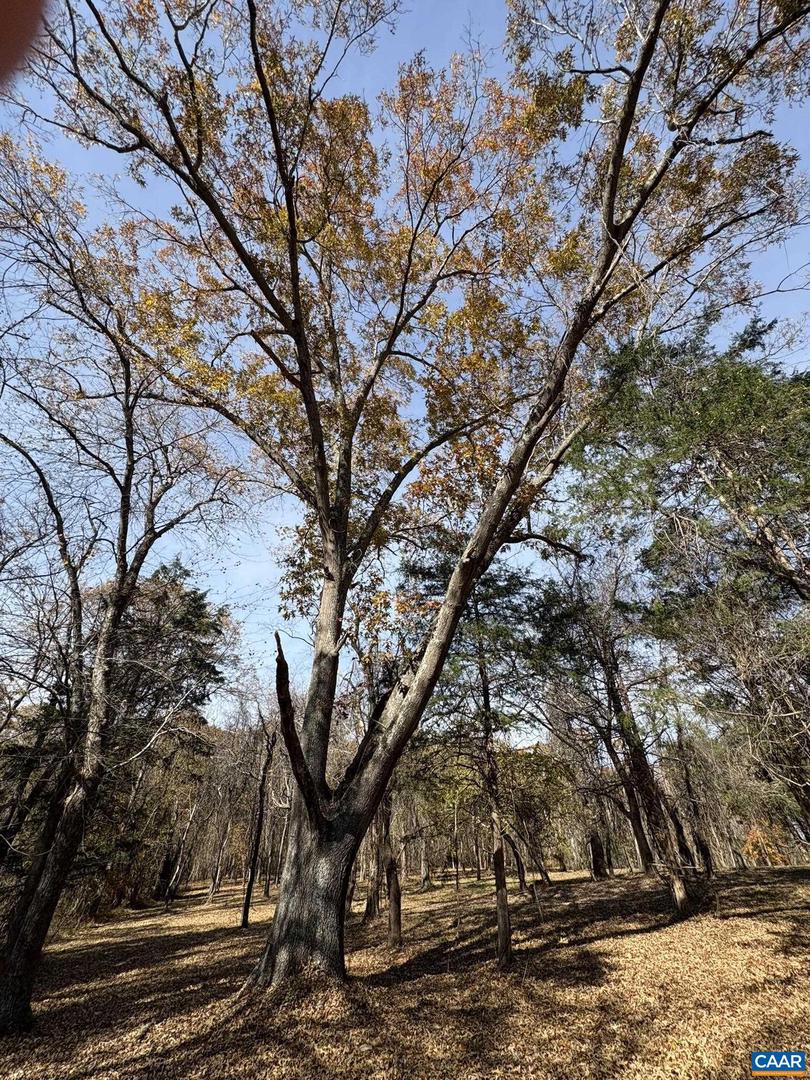 PARCEL A DULWICH DR, AMHERST, Virginia 24521, ,Land,For sale,PARCEL A DULWICH DR,670791 MLS # 670791