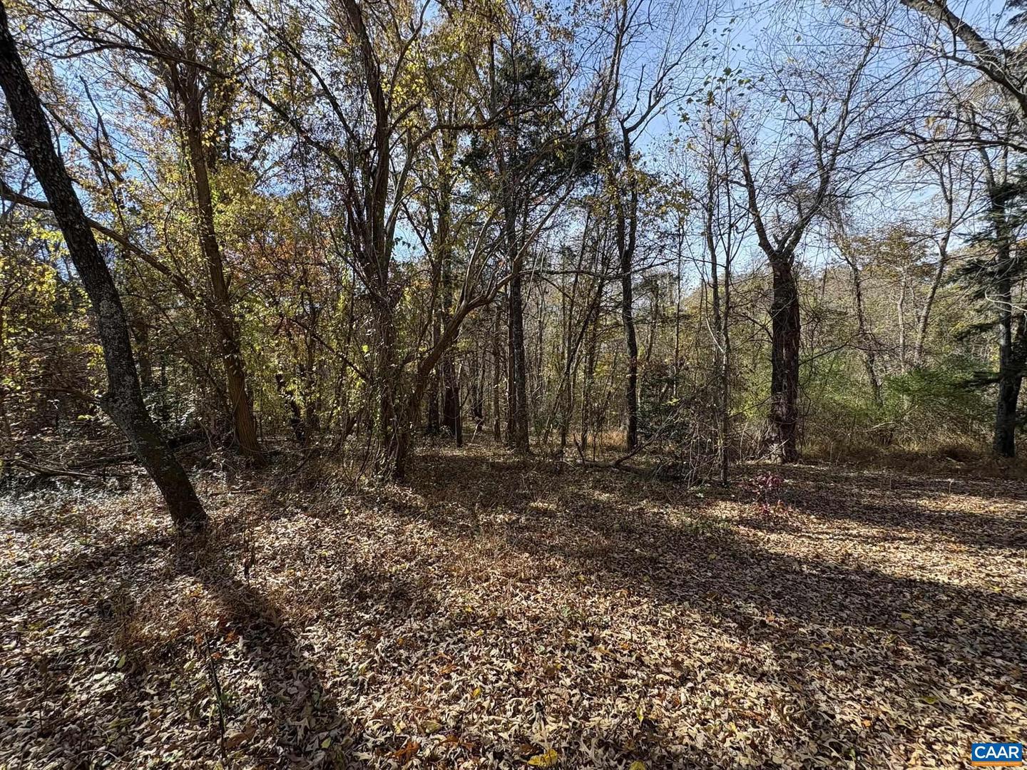 PARCEL A DULWICH DR, AMHERST, Virginia 24521, ,Land,For sale,PARCEL A DULWICH DR,670791 MLS # 670791